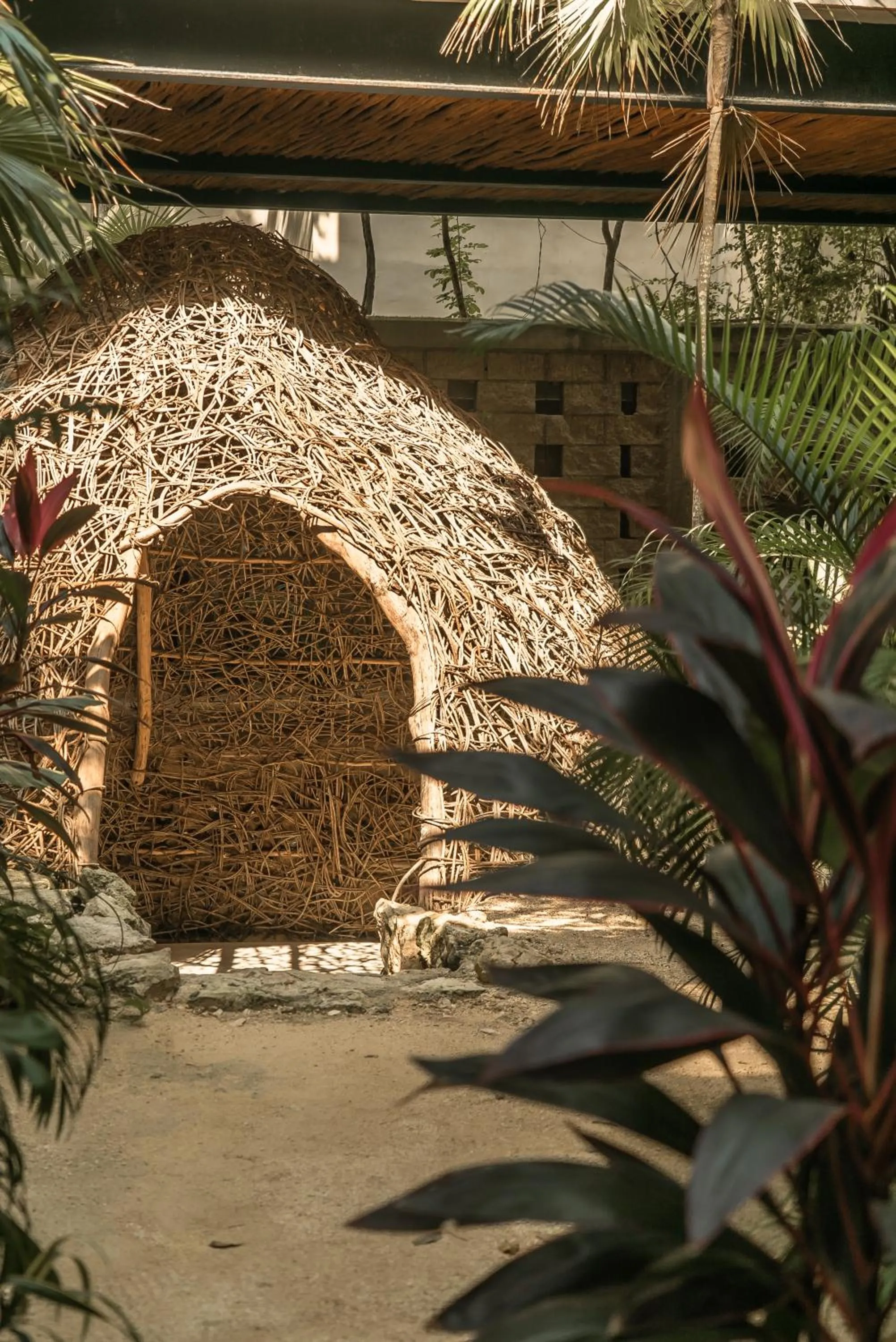Garden in NAJ Boutique Hotel - Aldea Zama