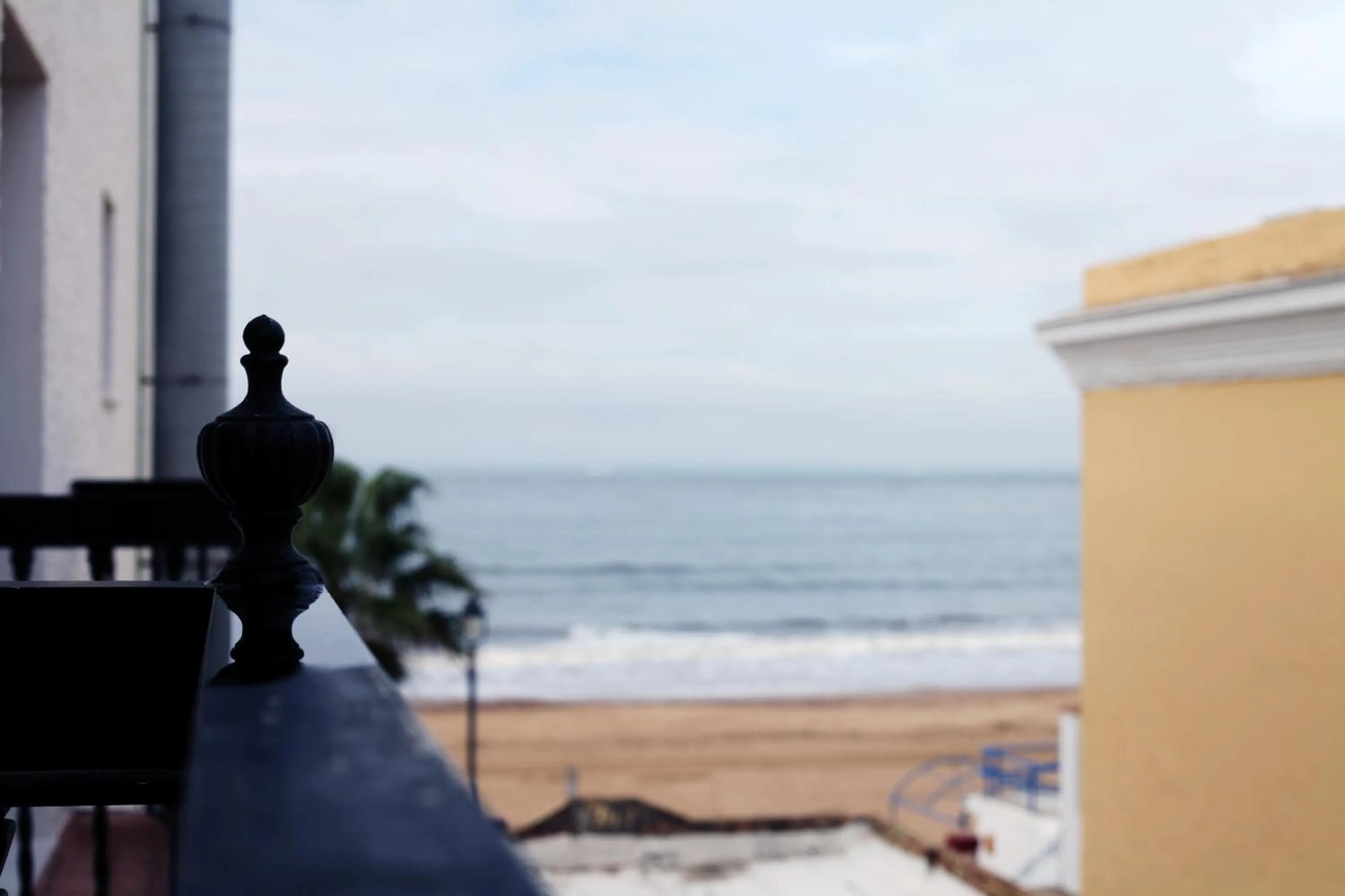 View (from property/room) in Hotel Playa de Regla