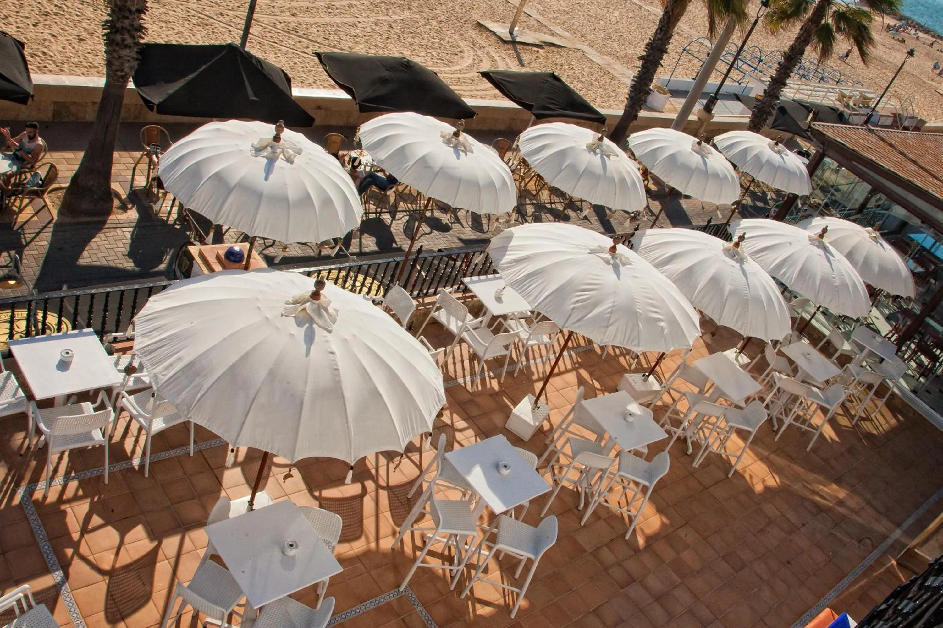 Area and facilities in Hotel Playa de Regla