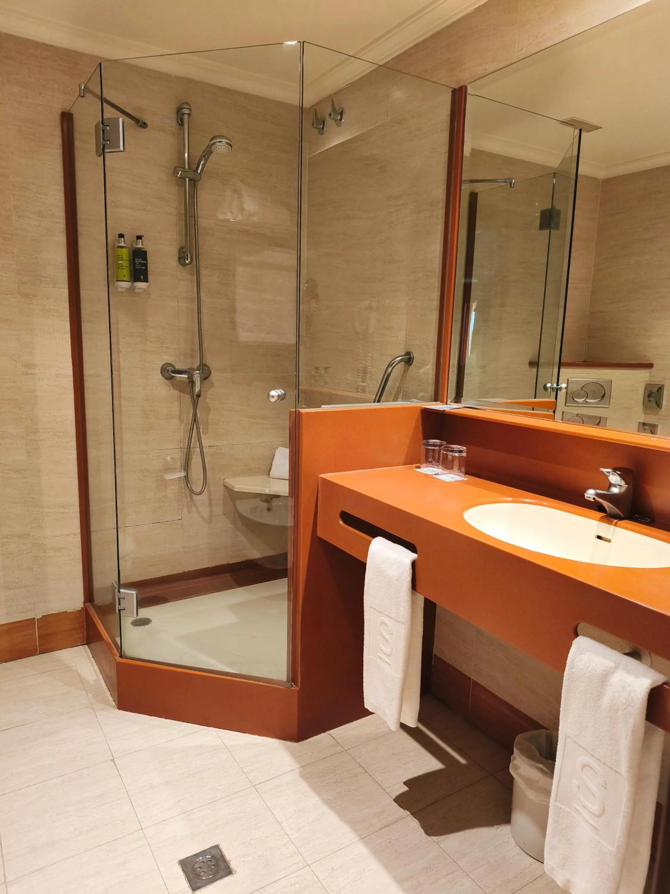 Shower in Hotel Sercotel Cuatro Postes