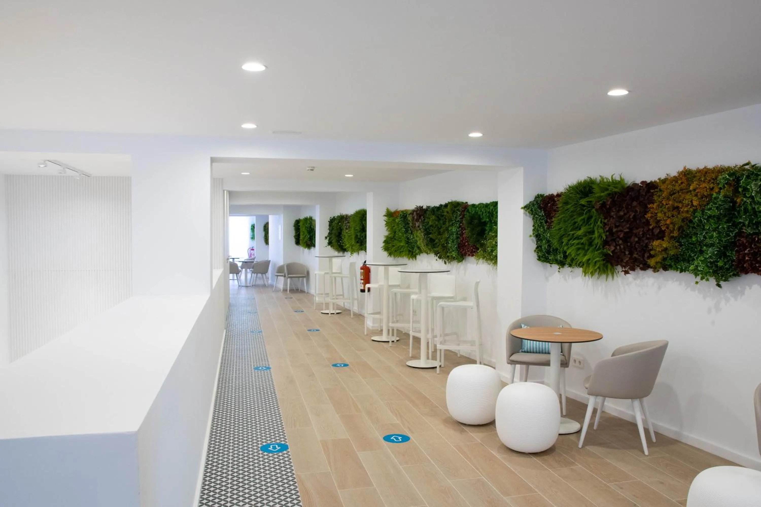 Lounge or bar in BLUESEA Mediodia