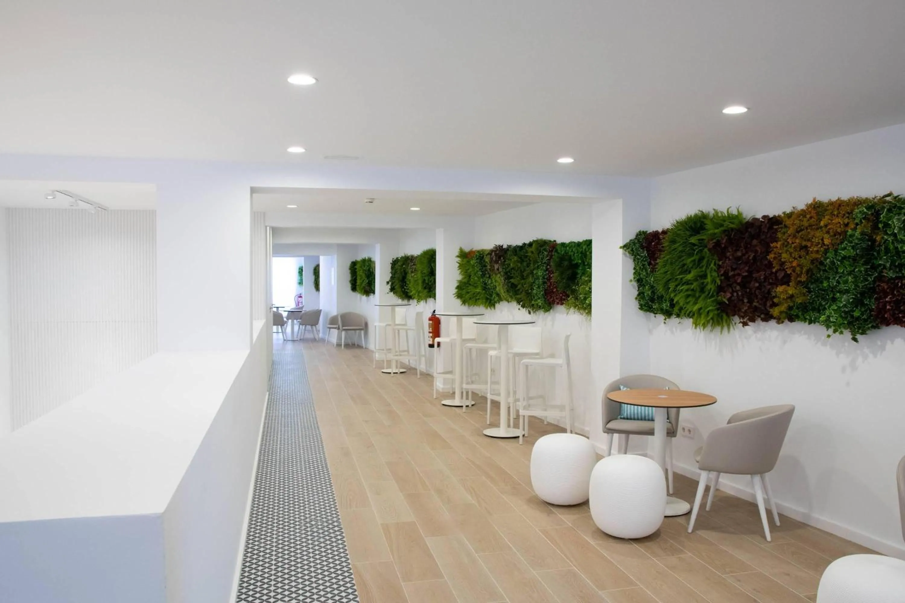 Lounge or bar in BLUESEA Mediodia