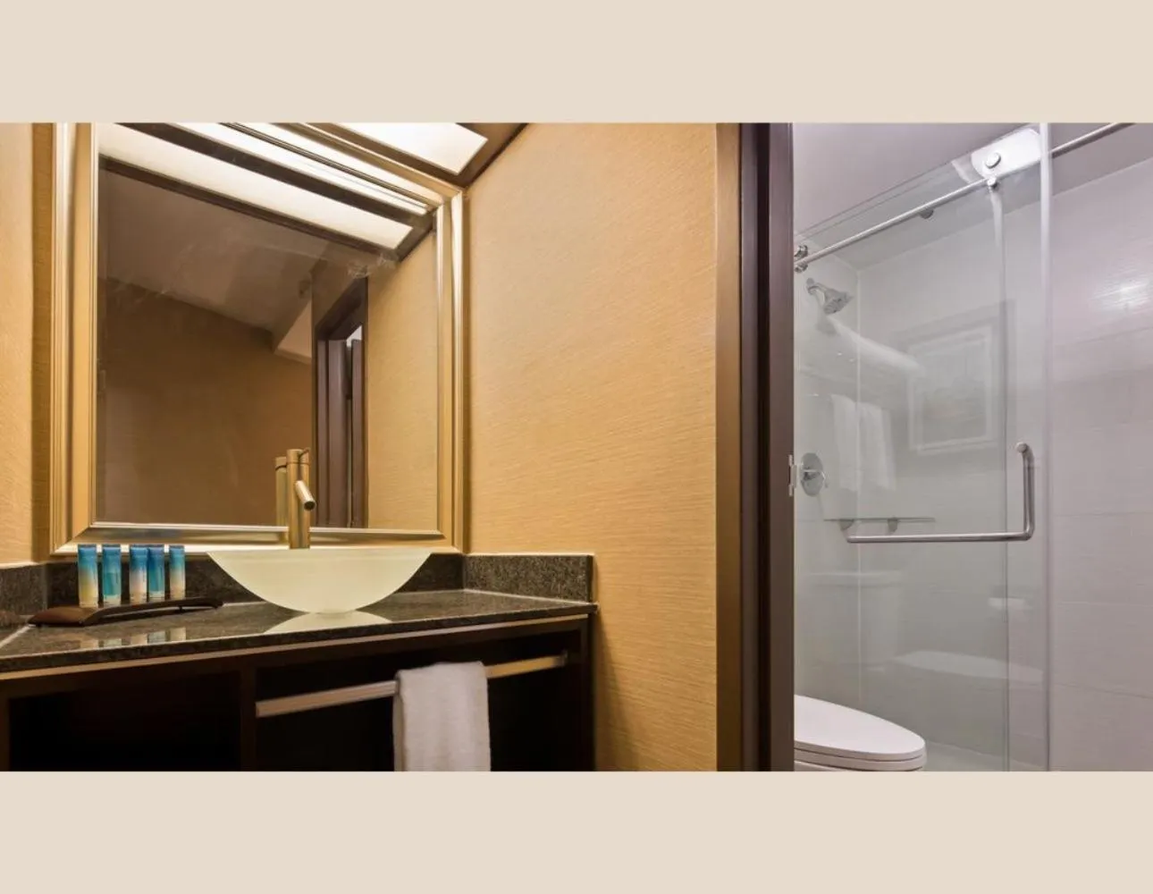 Shower in Radisson Hotel Southfield-Detroit