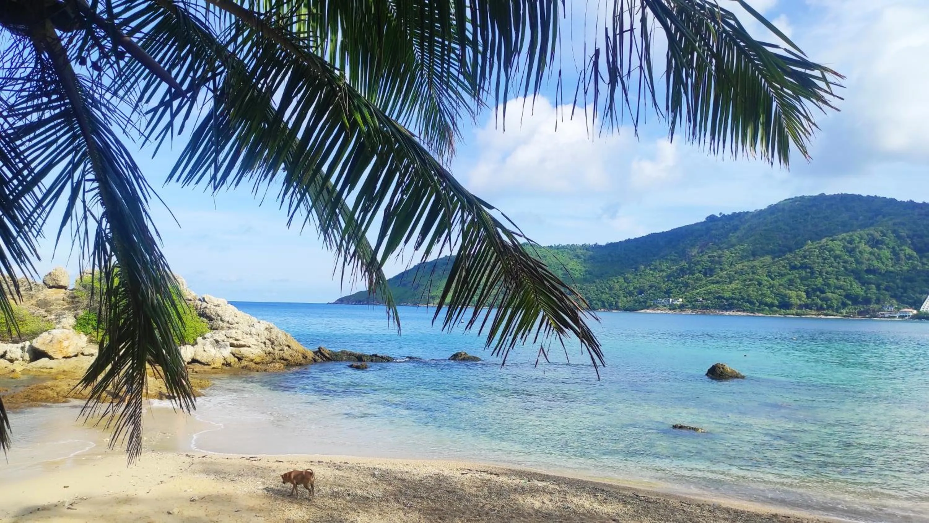 Natural landscape in Baan sikhao Yanui