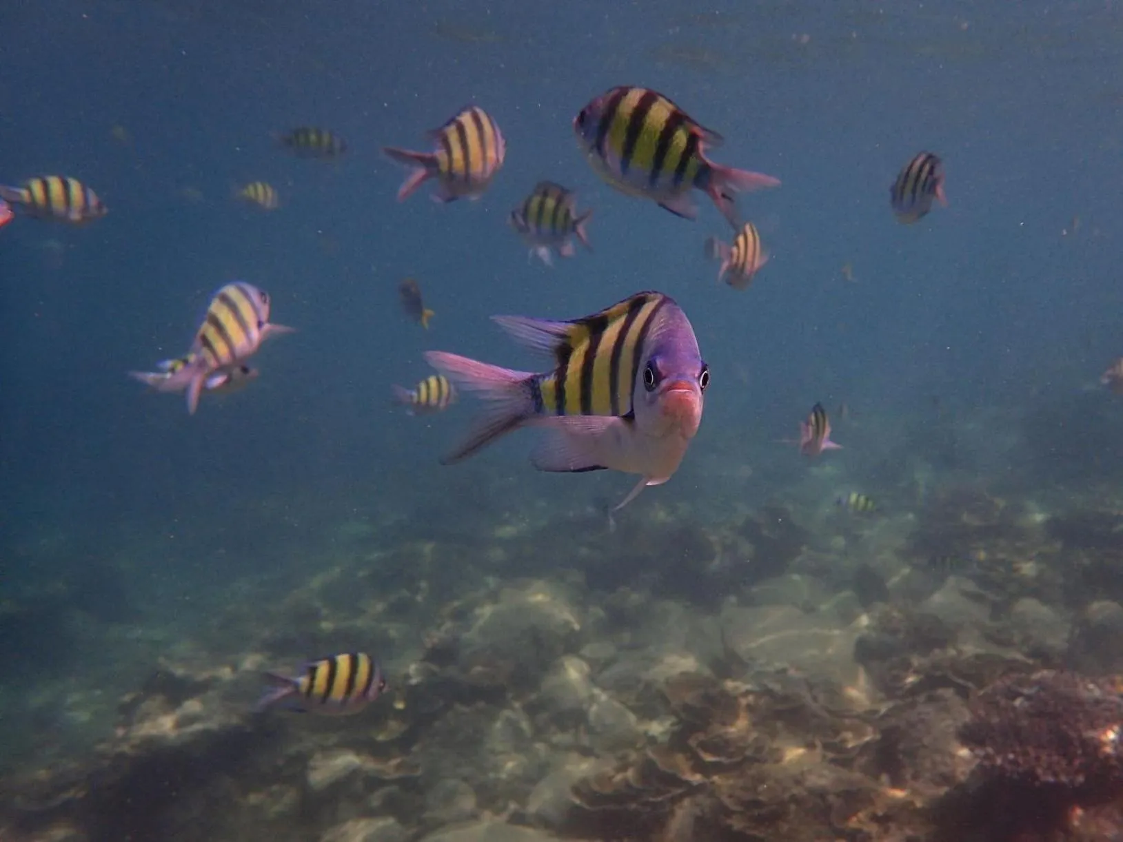 Snorkeling in Baan sikhao Yanui
