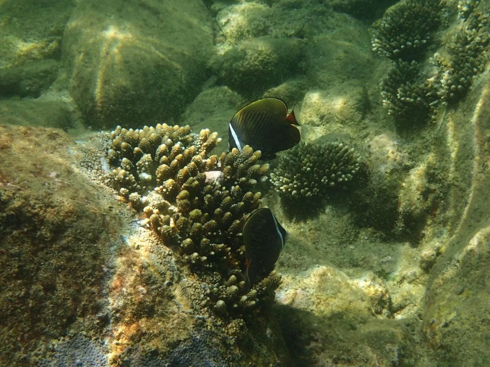 Day in Baan sikhao Yanui