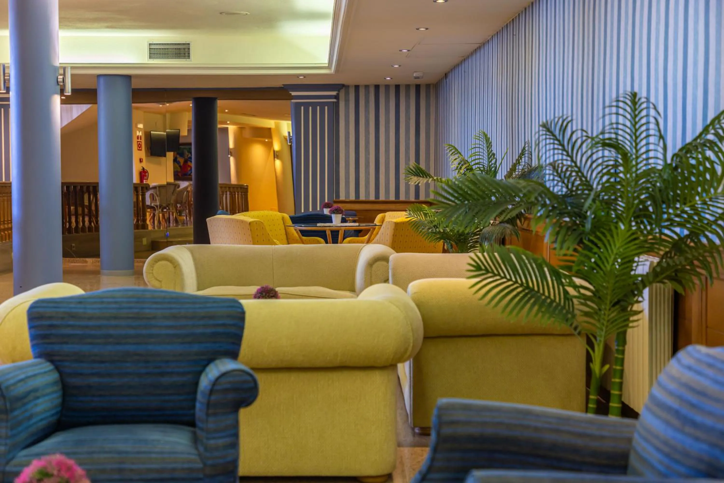 Area and facilities in Perla Marina