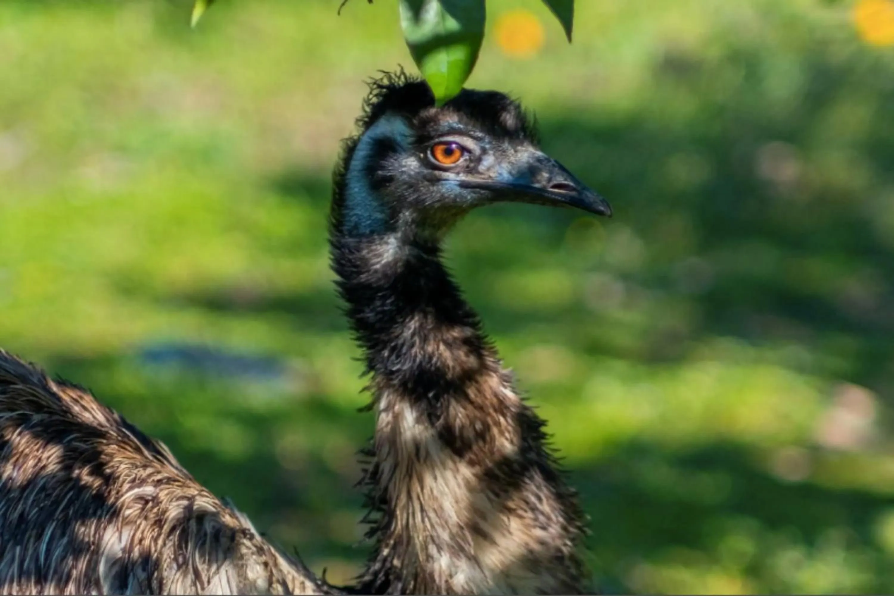 Garden in Batıhan Vadi Hotel