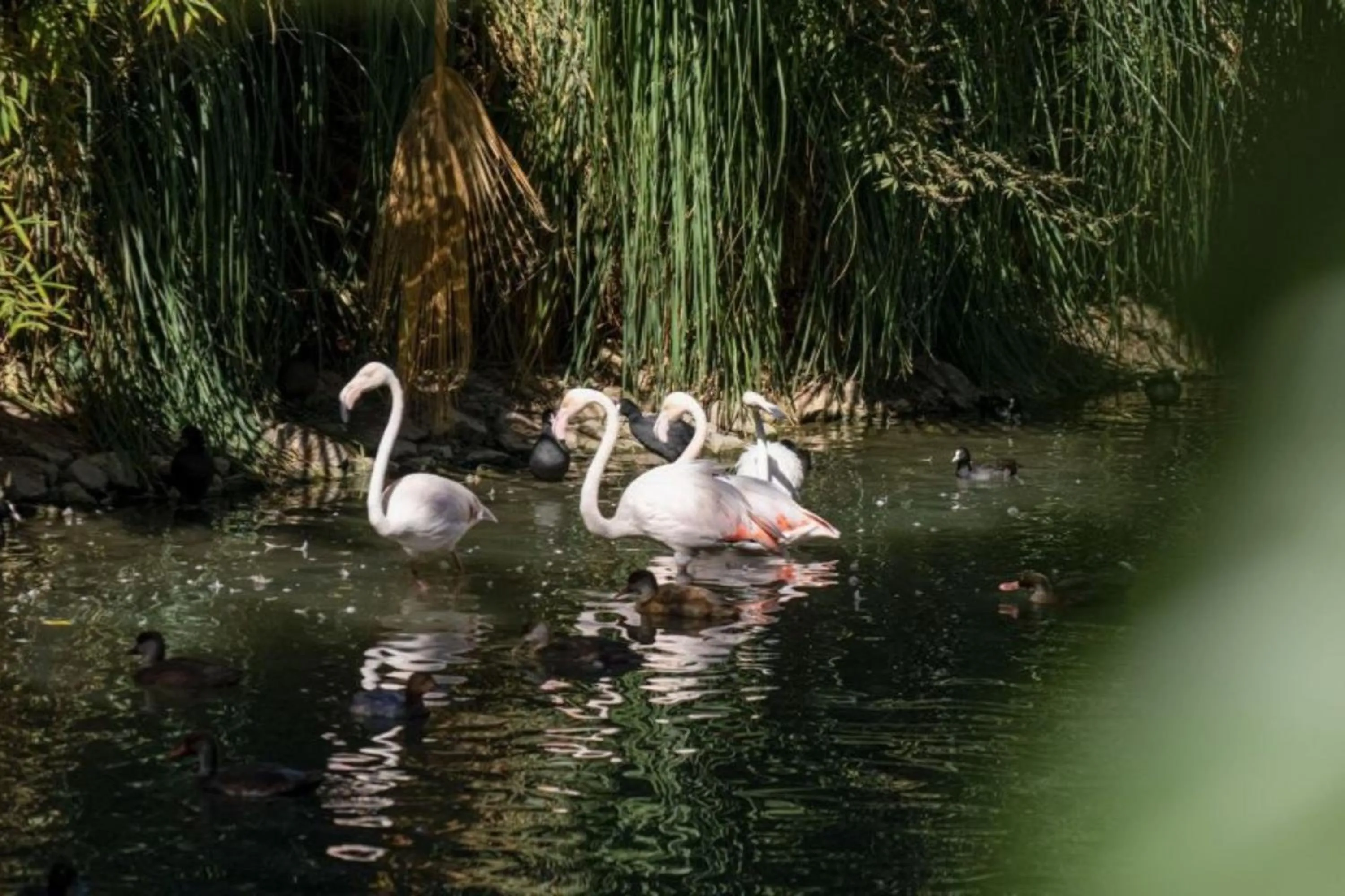 Day in Batıhan Vadi Hotel