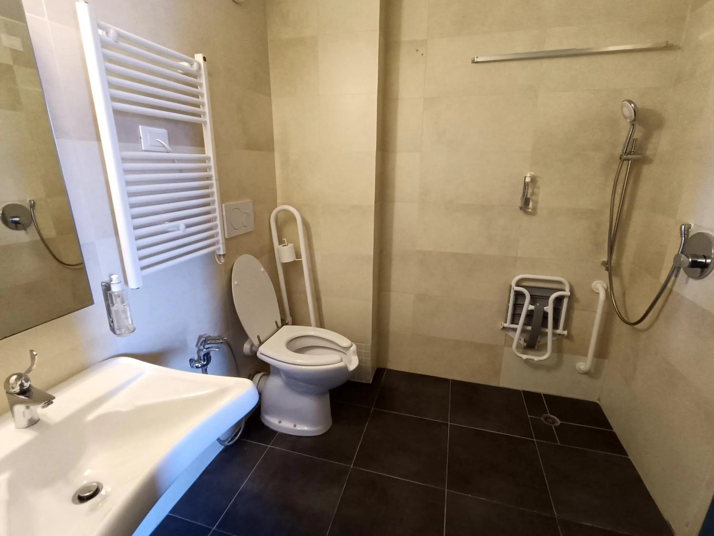 Facility for disabled guests in Hotel Turan & Spa