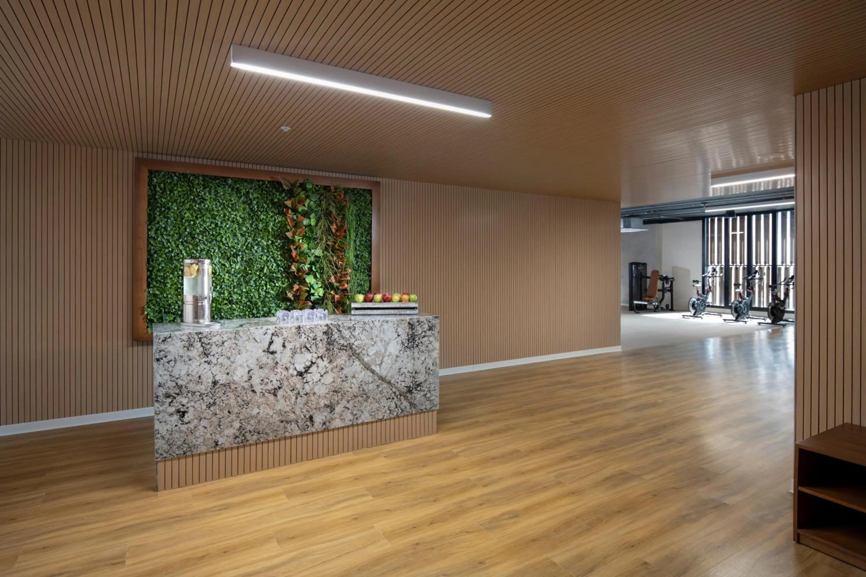 Activities in Serenade All Suites - Adults Only Resort