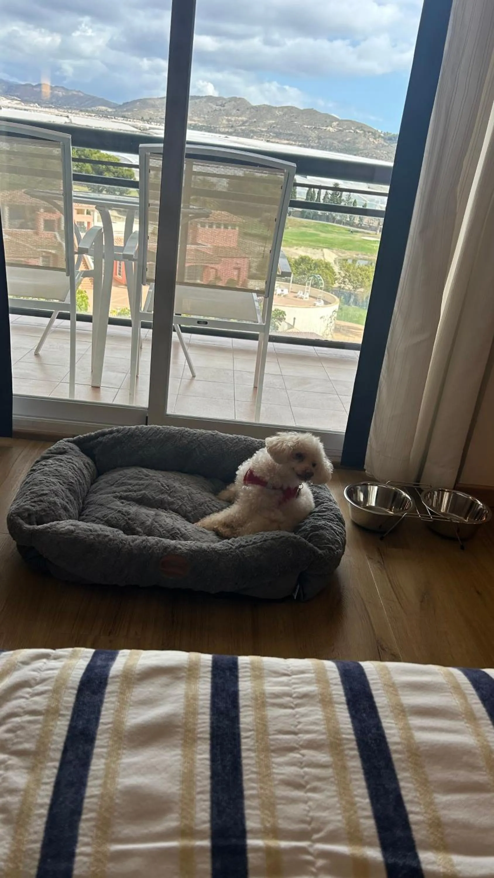 Hotel Bonalba Alicante