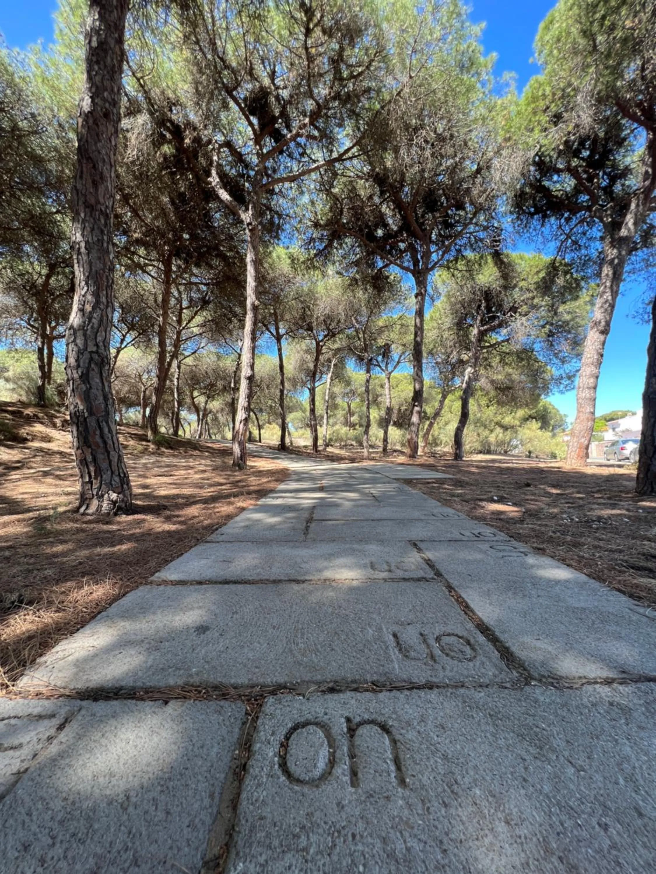 Off site in ON Family Islantilla