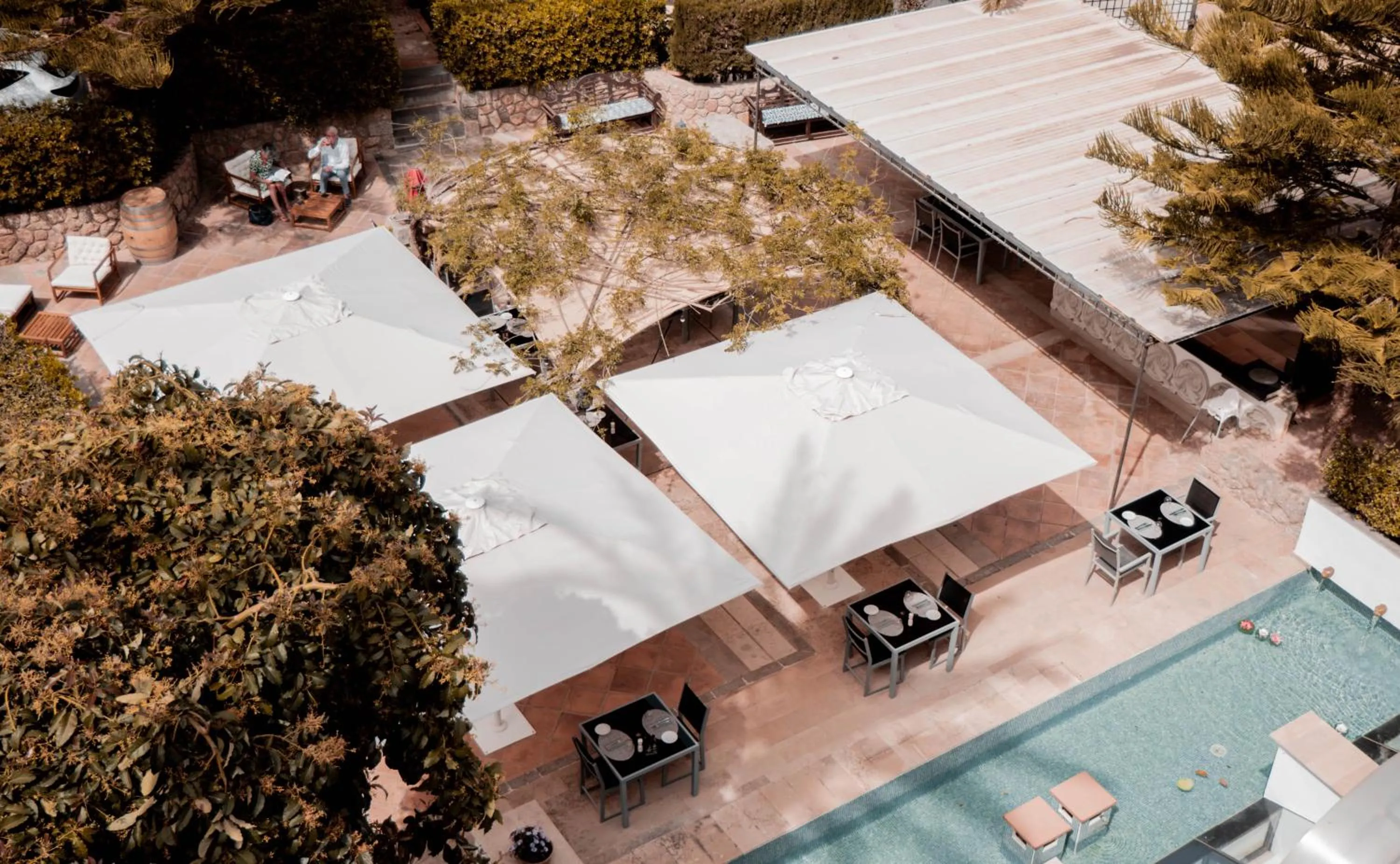 Restaurant/places to eat in Gran Hotel Soller