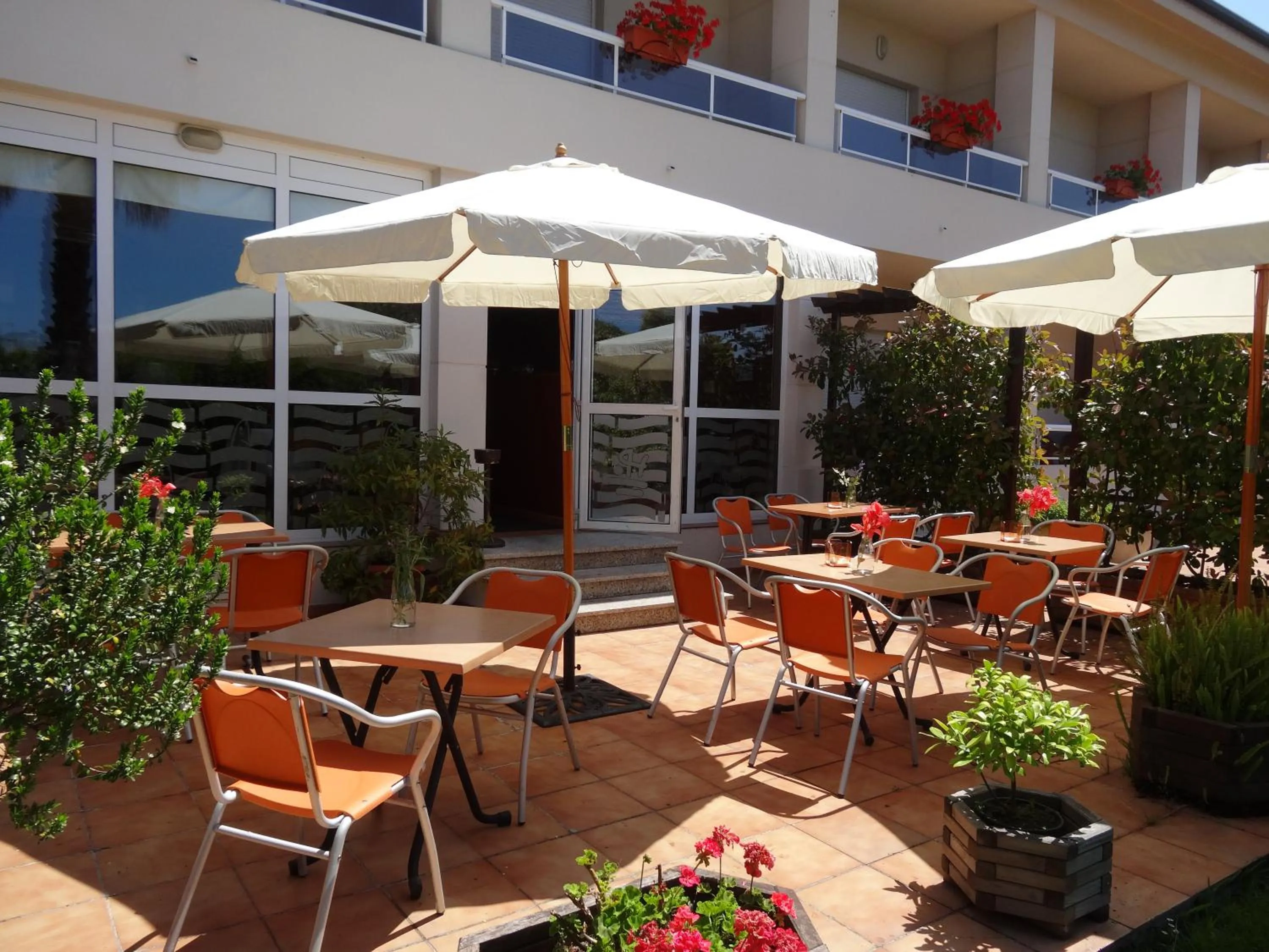 Garden in Hotel El Pescador