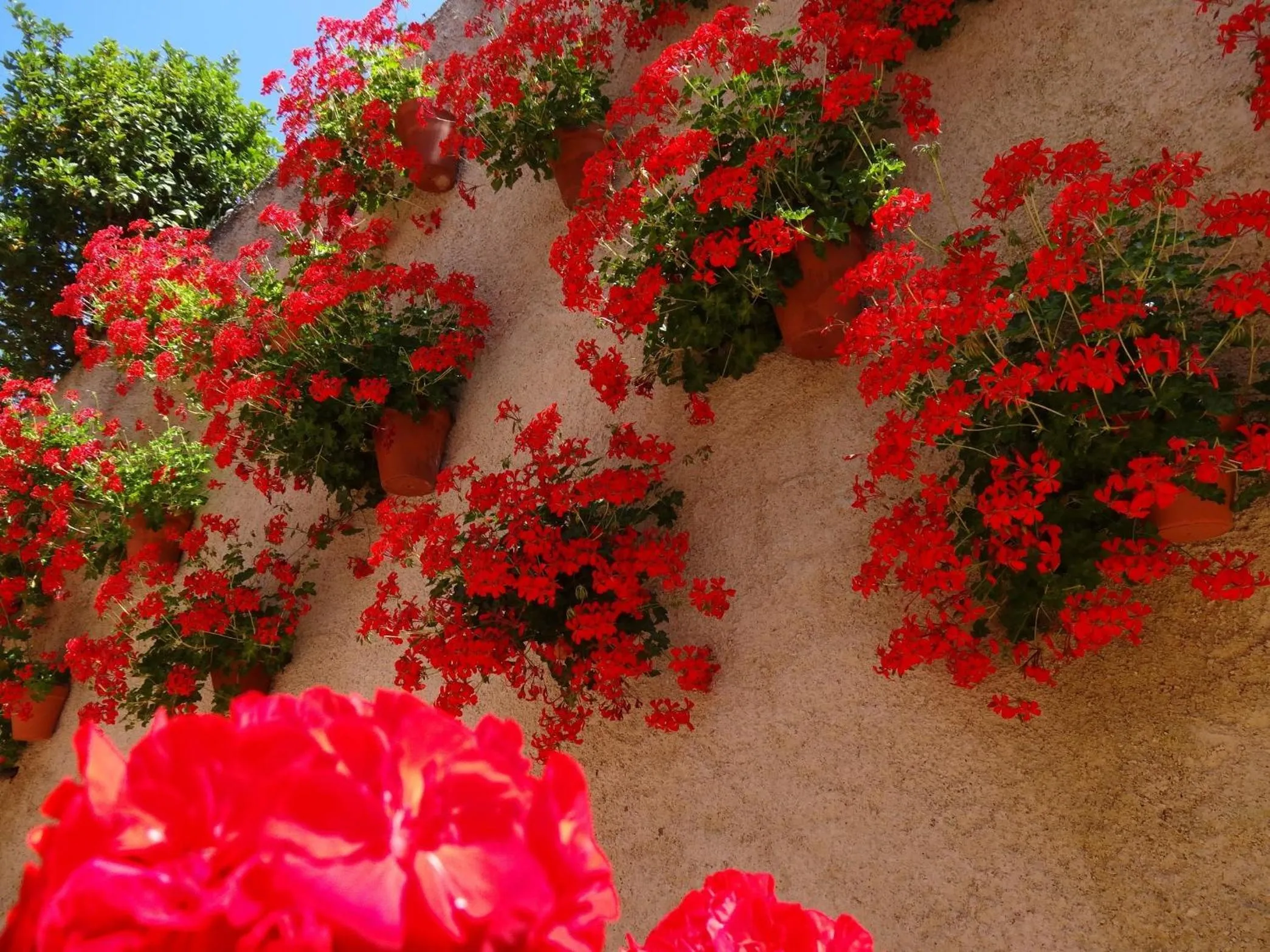 Facade/entrance in Hotel El Pescador