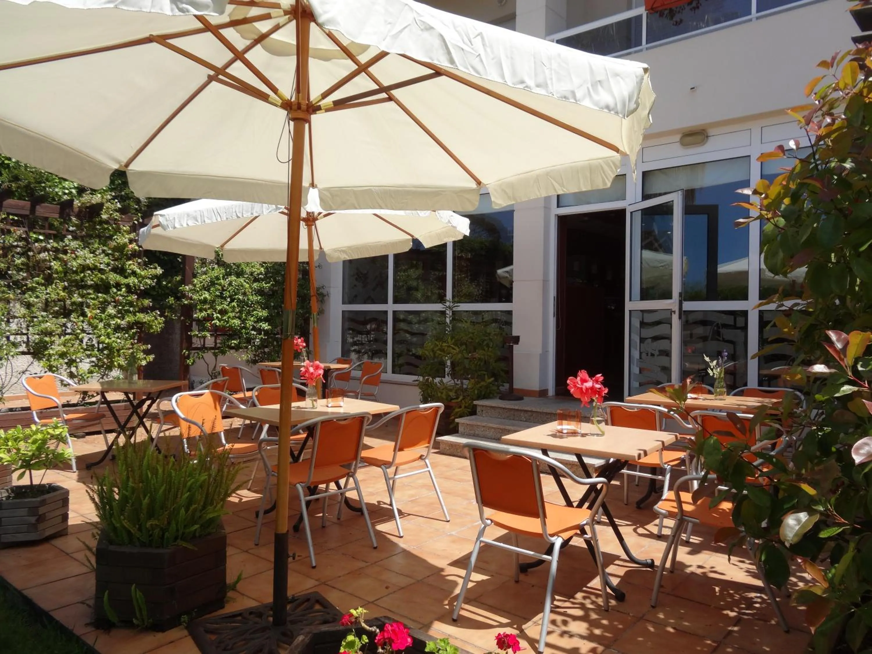 Garden in Hotel El Pescador