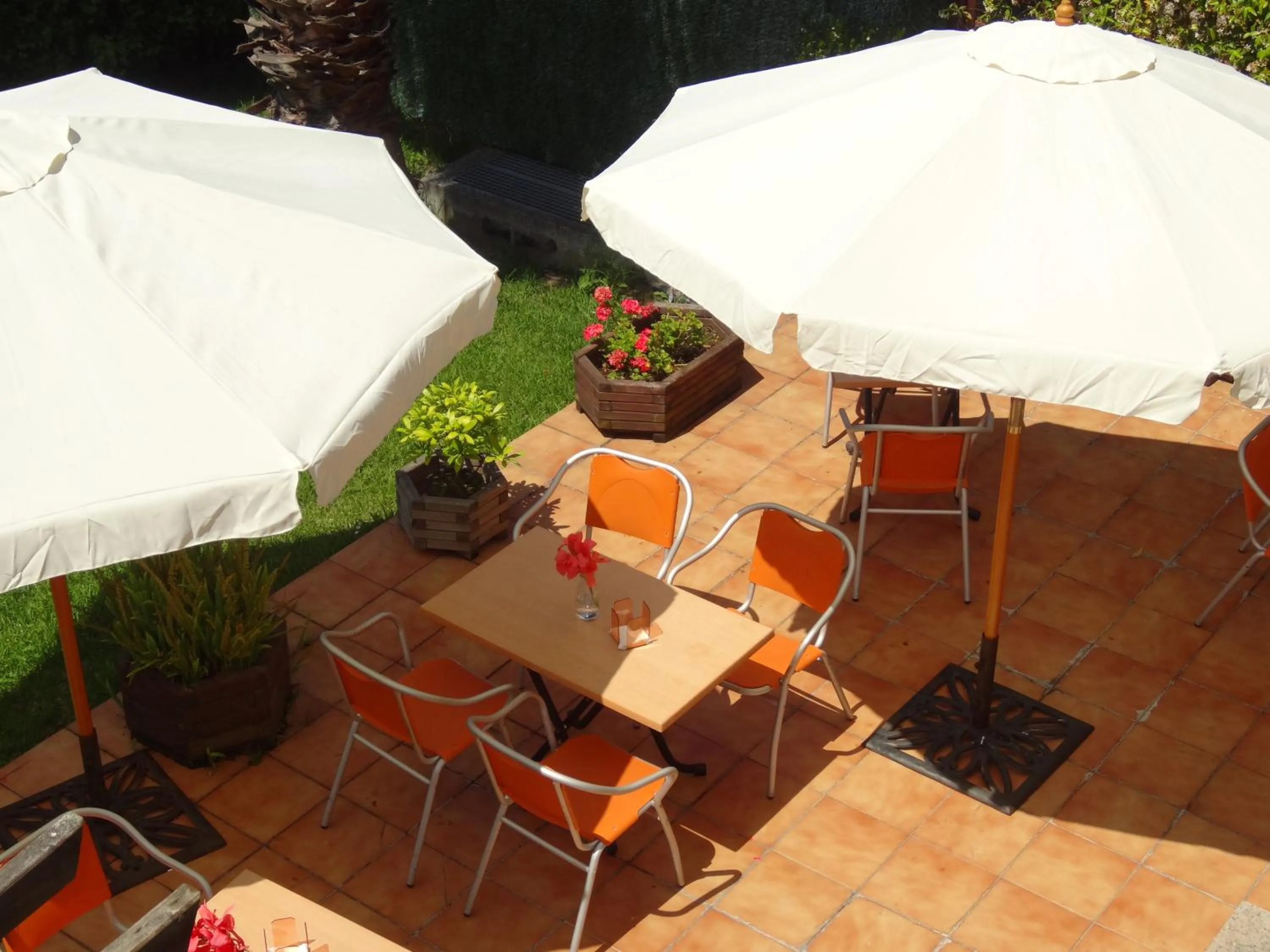 Garden in Hotel El Pescador