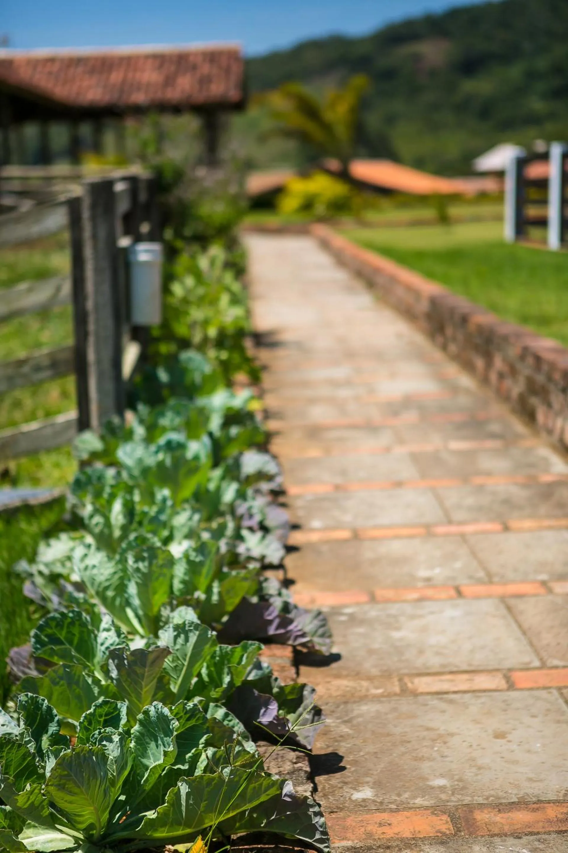 Spring in Eco Mirante Hotel