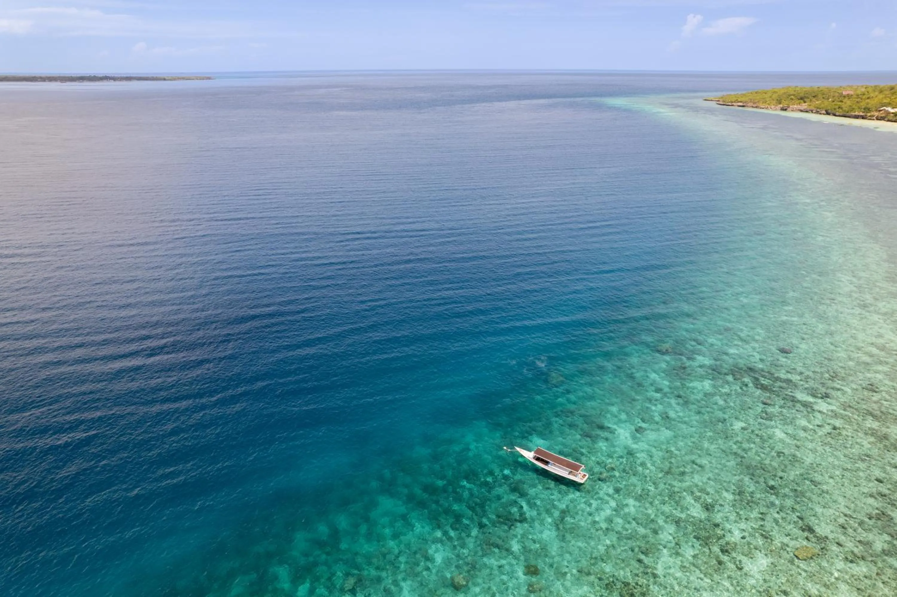 Diving in Seascapes Bira