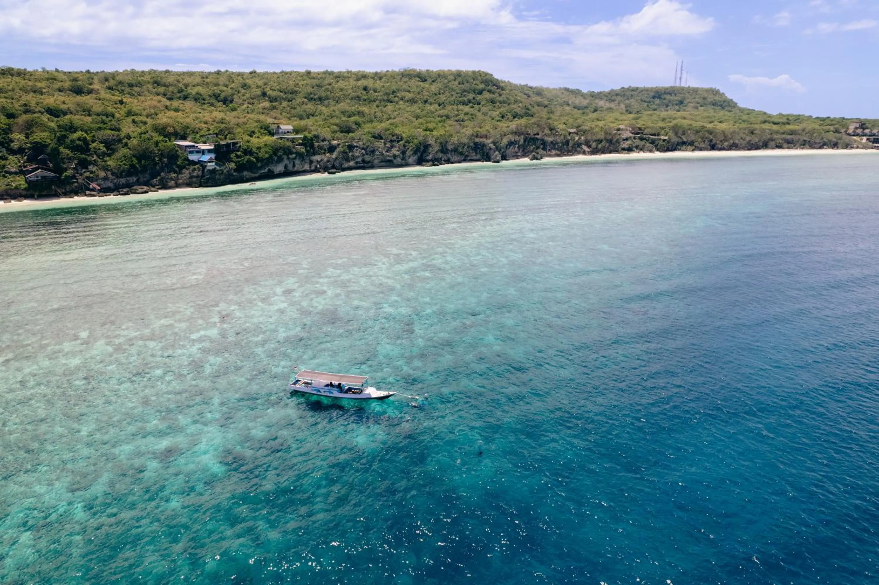 Diving in Seascapes Bira