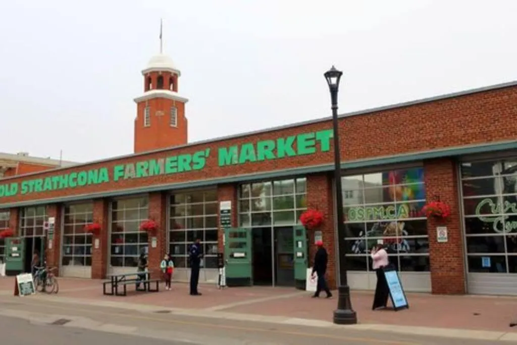 NEW, Mountain Chic Suite, Whyte Avenue, Netflix, WiFi, Sleeps 6