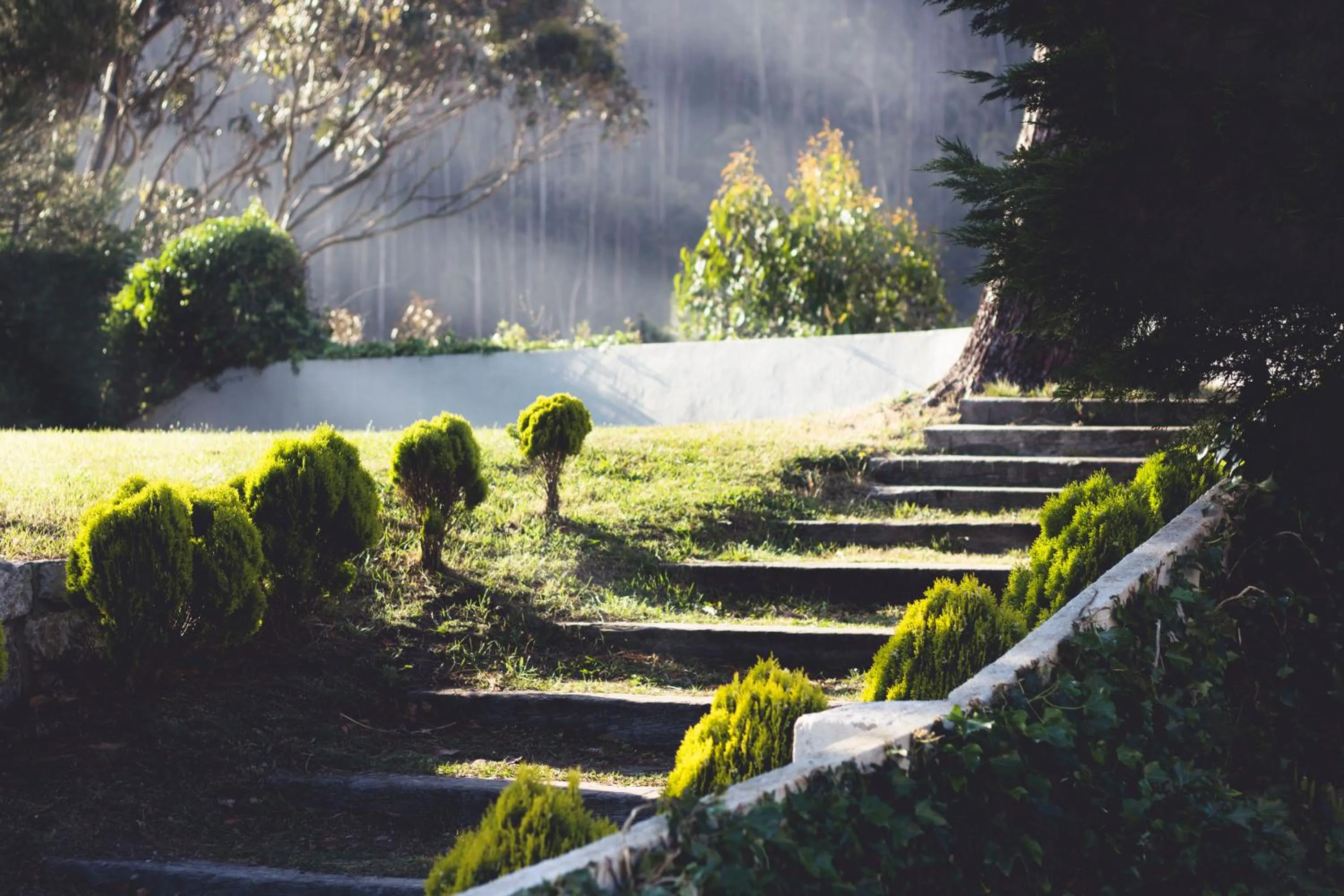 Garden in Hotel Mirador de La Franca