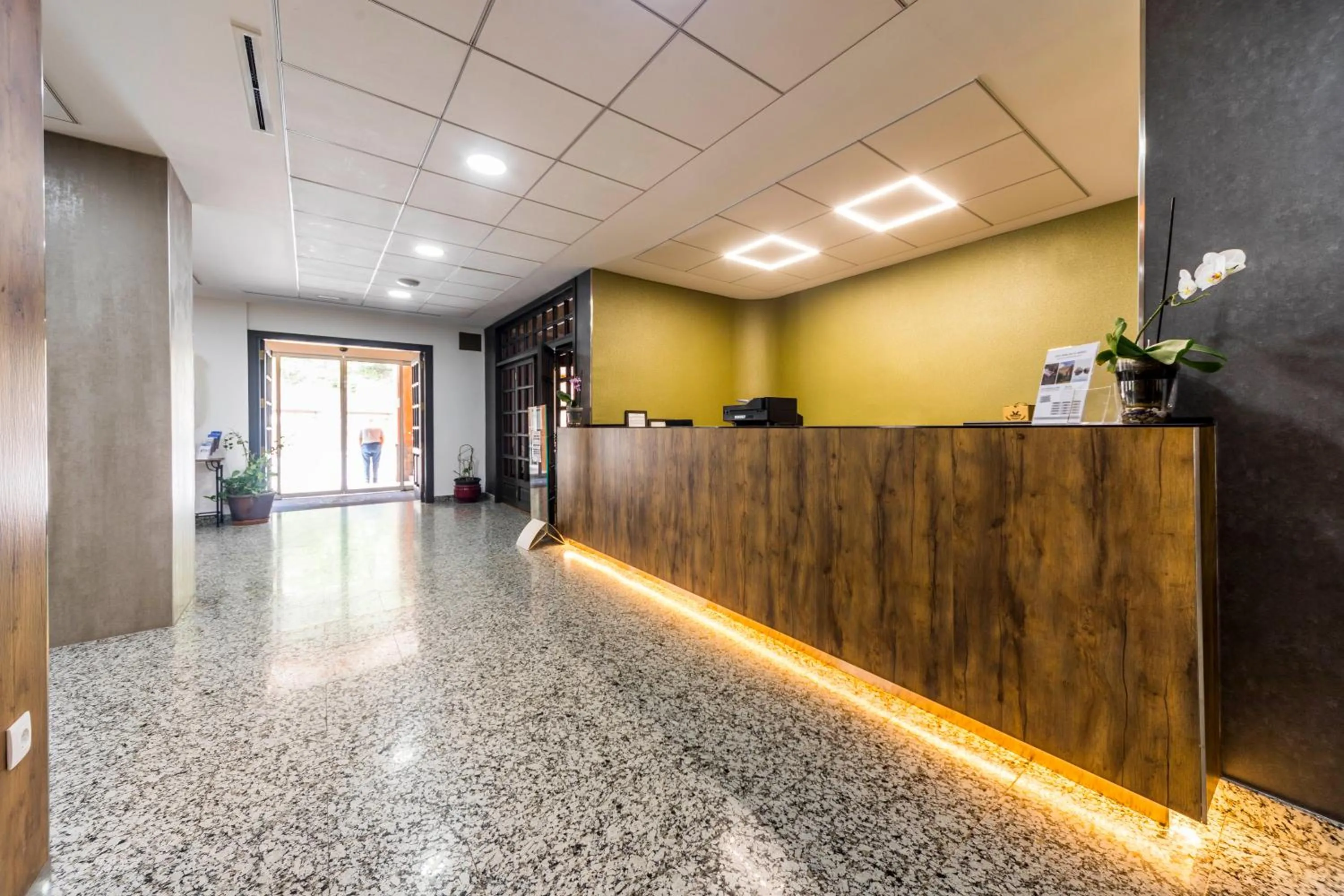 Lobby or reception in Hotel Rosaleda del Mijares