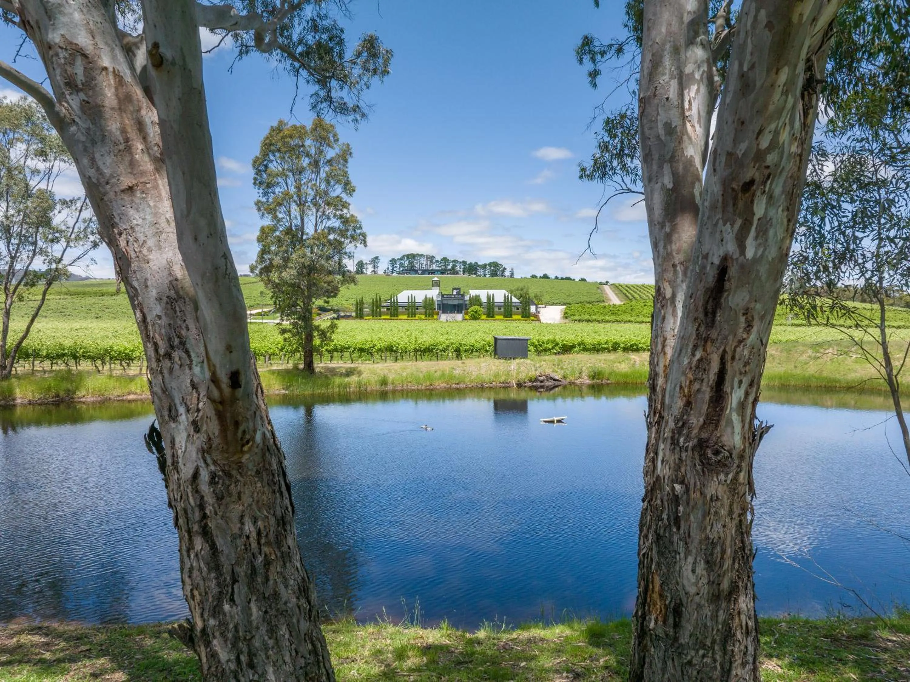 Garden in Beresford Estate