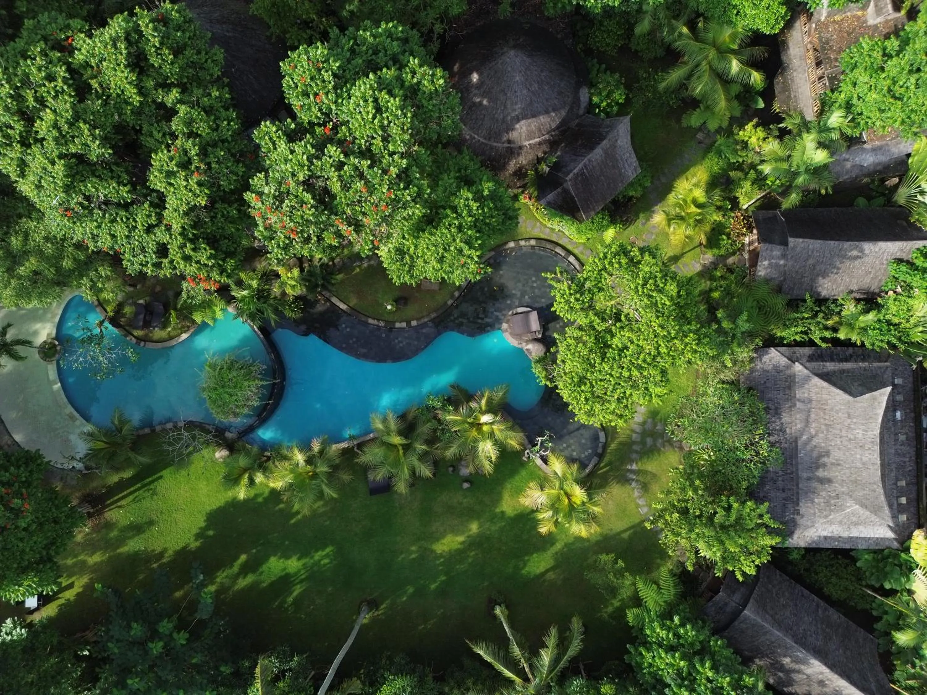 Natural landscape in Green Tree House Villa Ubud