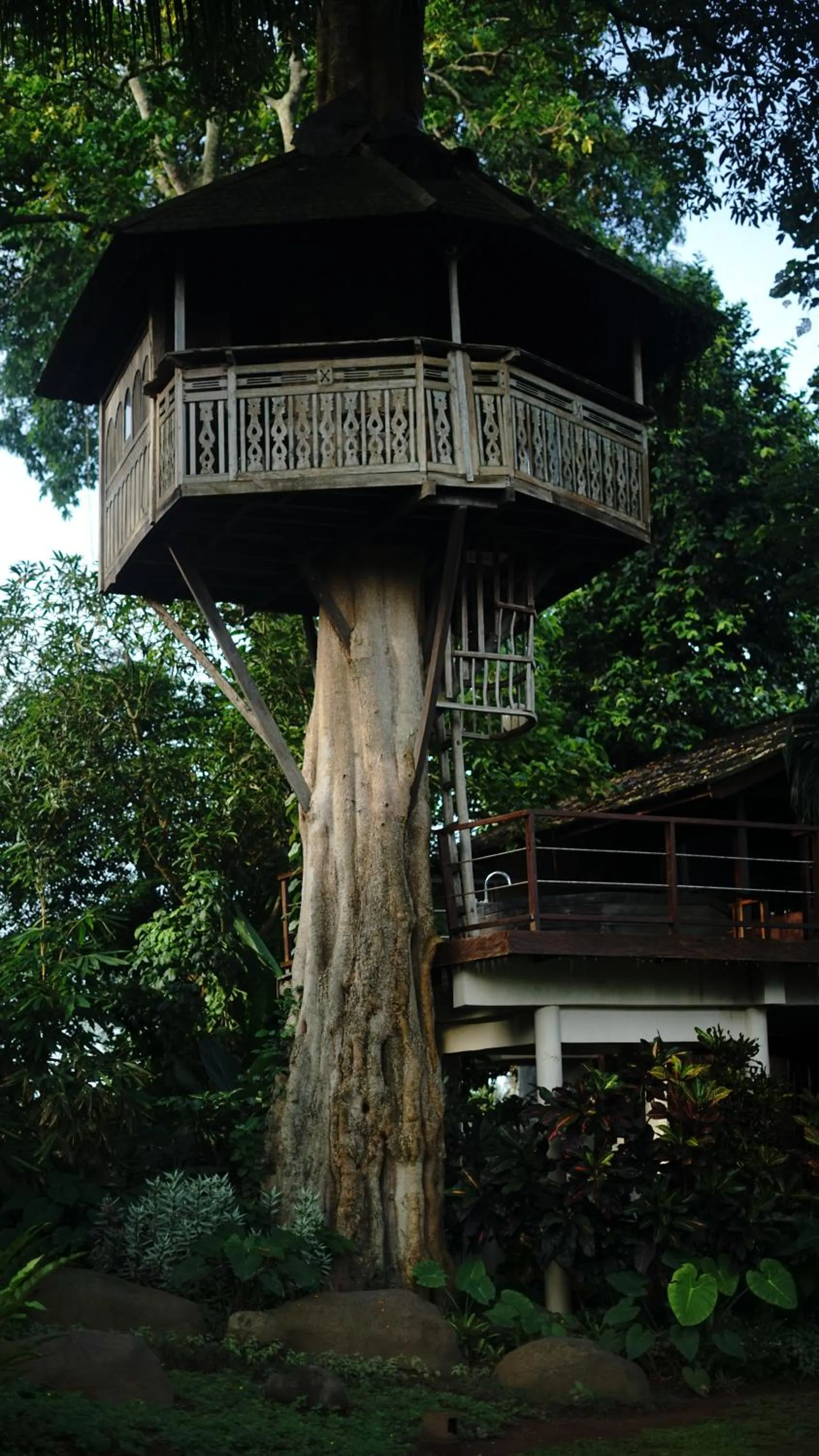 Property building in Green Tree House Villa Ubud