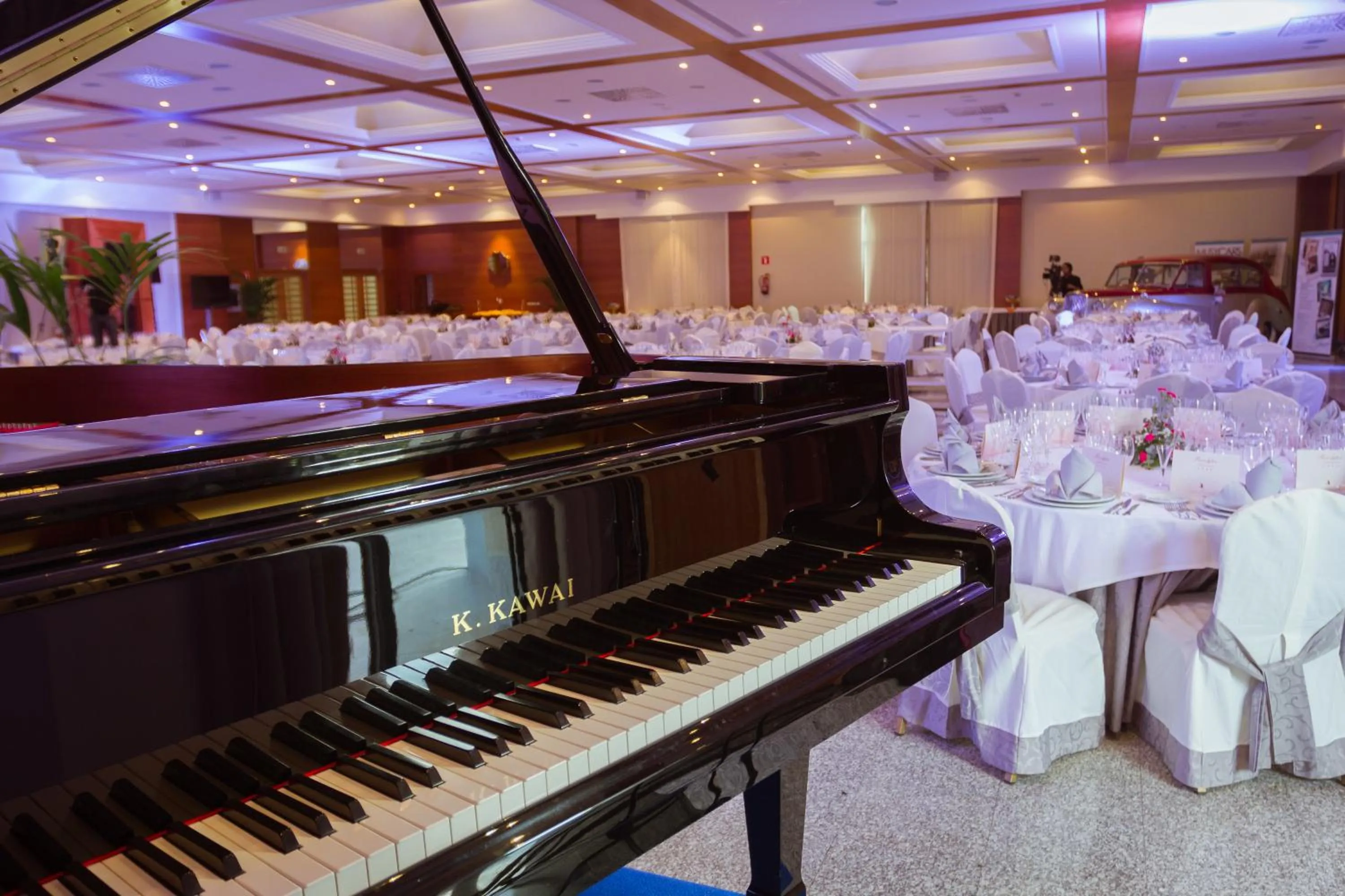 Banquet/Function facilities in Hotel Bardo Recoletos Coco