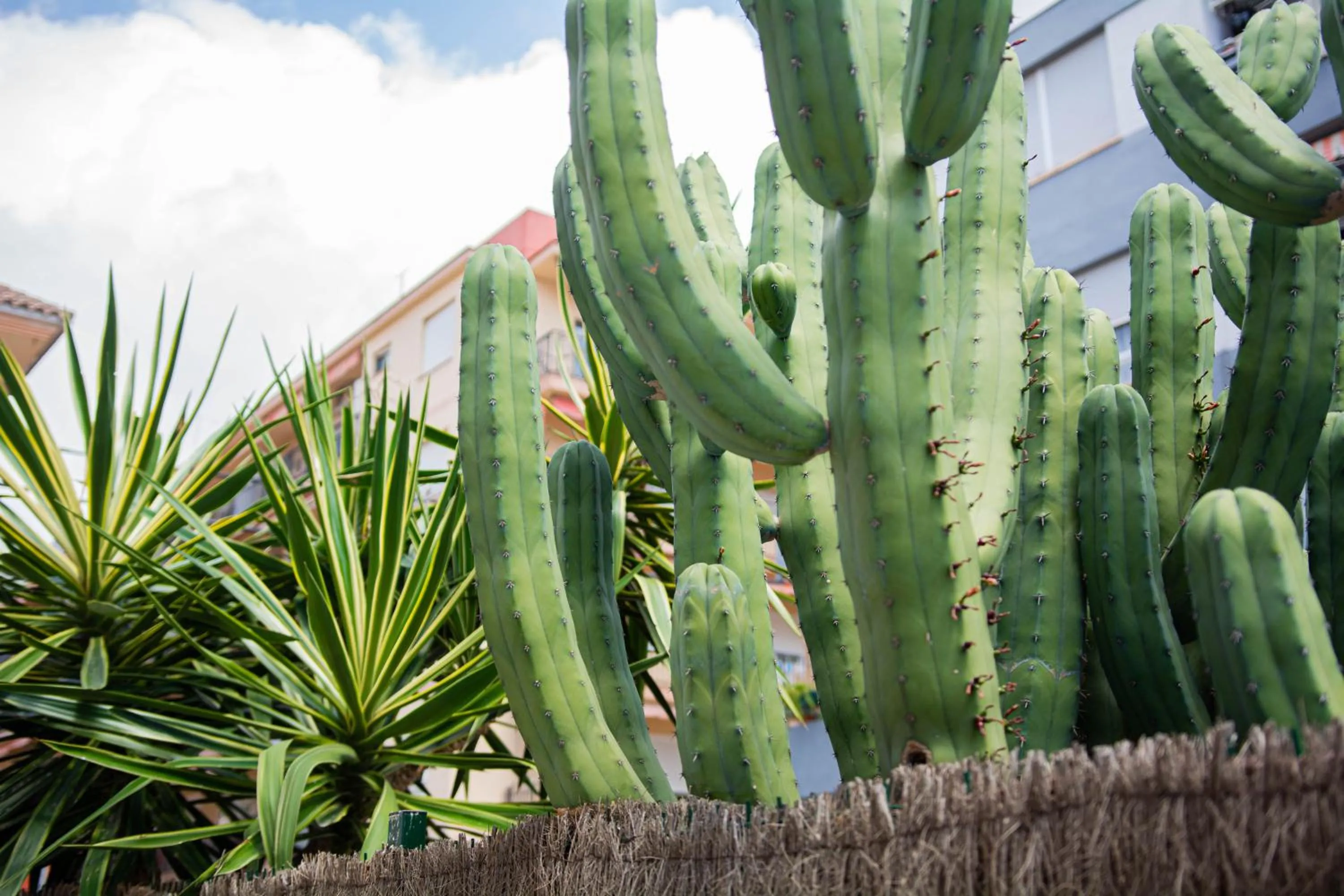 Property building in Hotel Bulevard