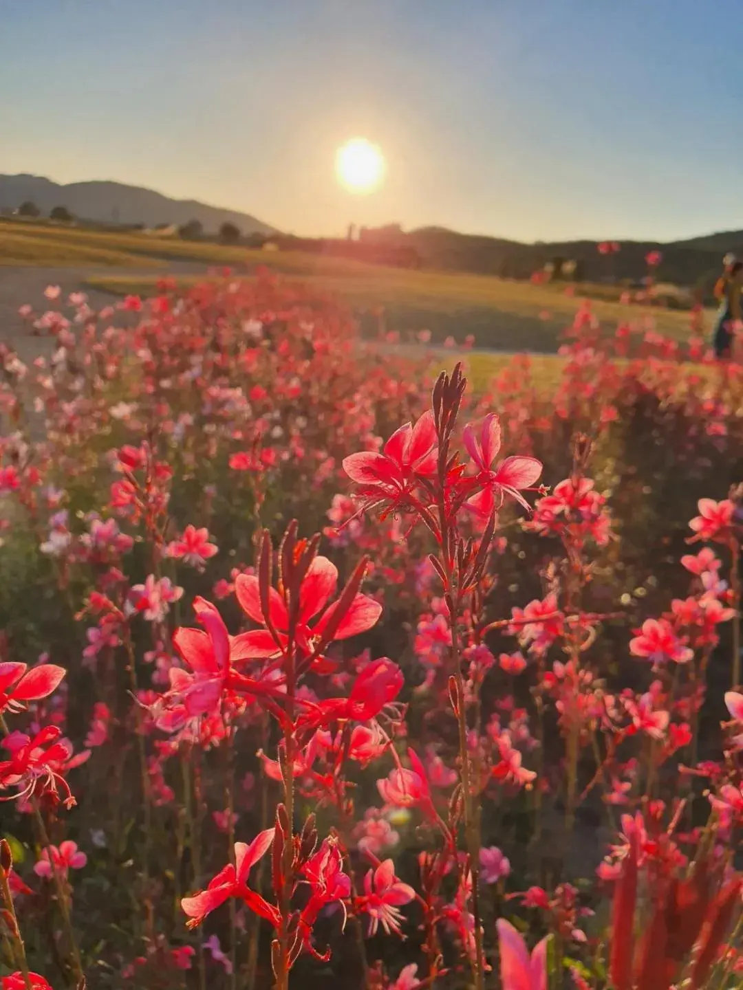 Standard Apartment in Cozy House Standard Apartment in Cozy House
