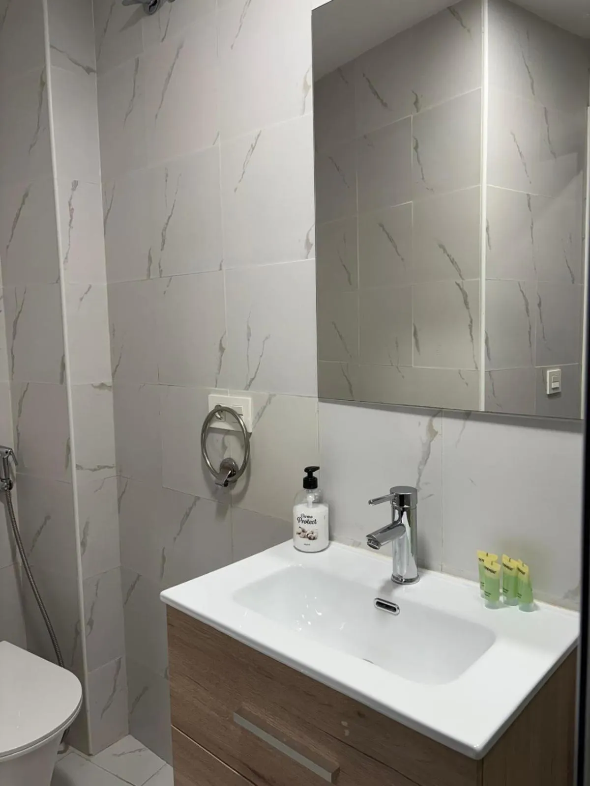 Toilet in SL Marbella