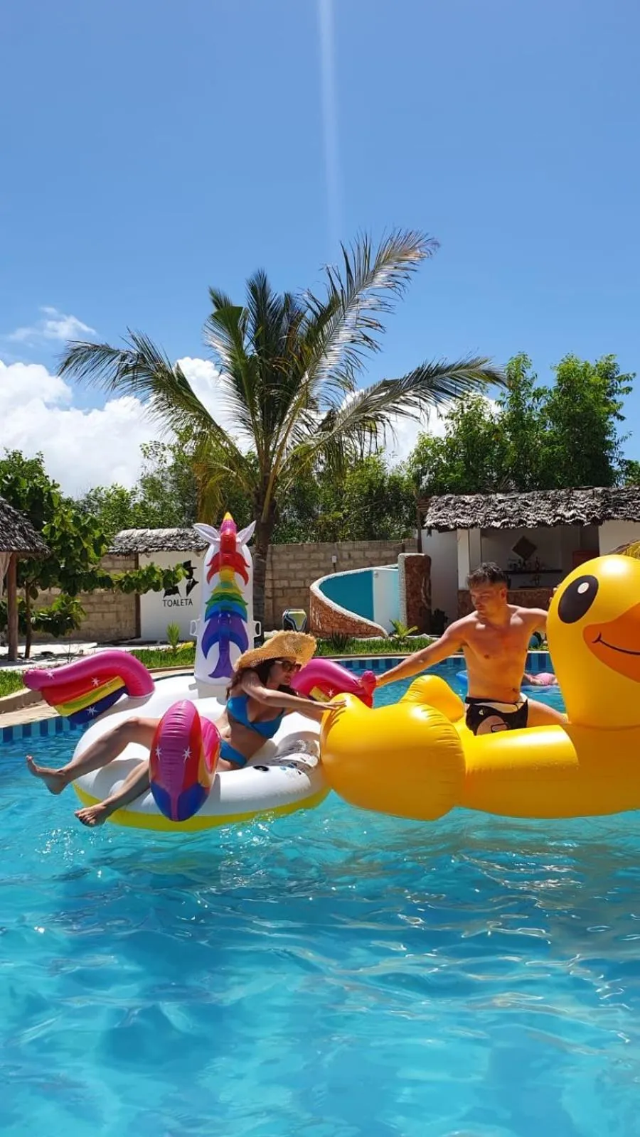 Pool view in Haber Hotel & SPA