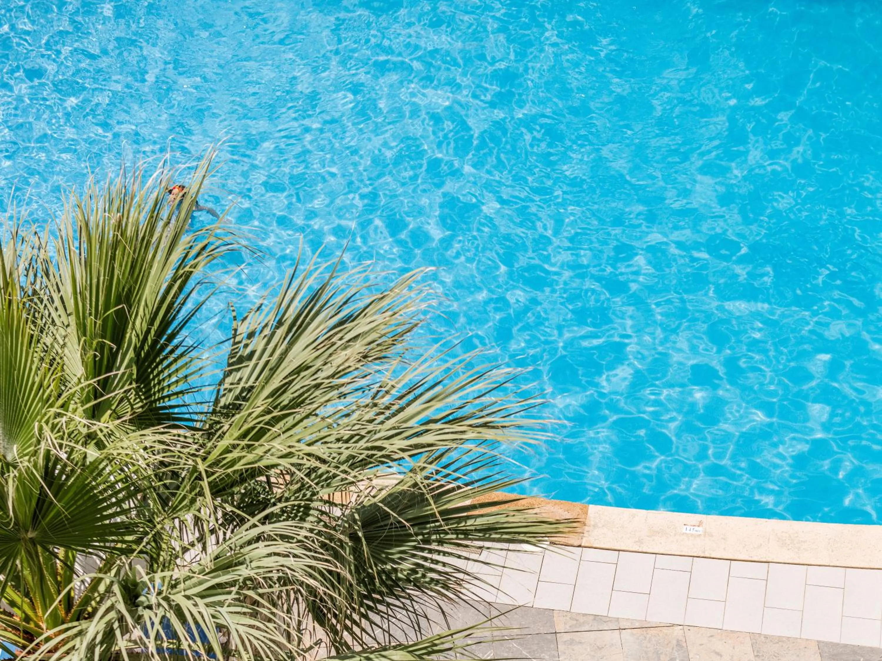 Swimming pool in Roc Portonova Apartaments