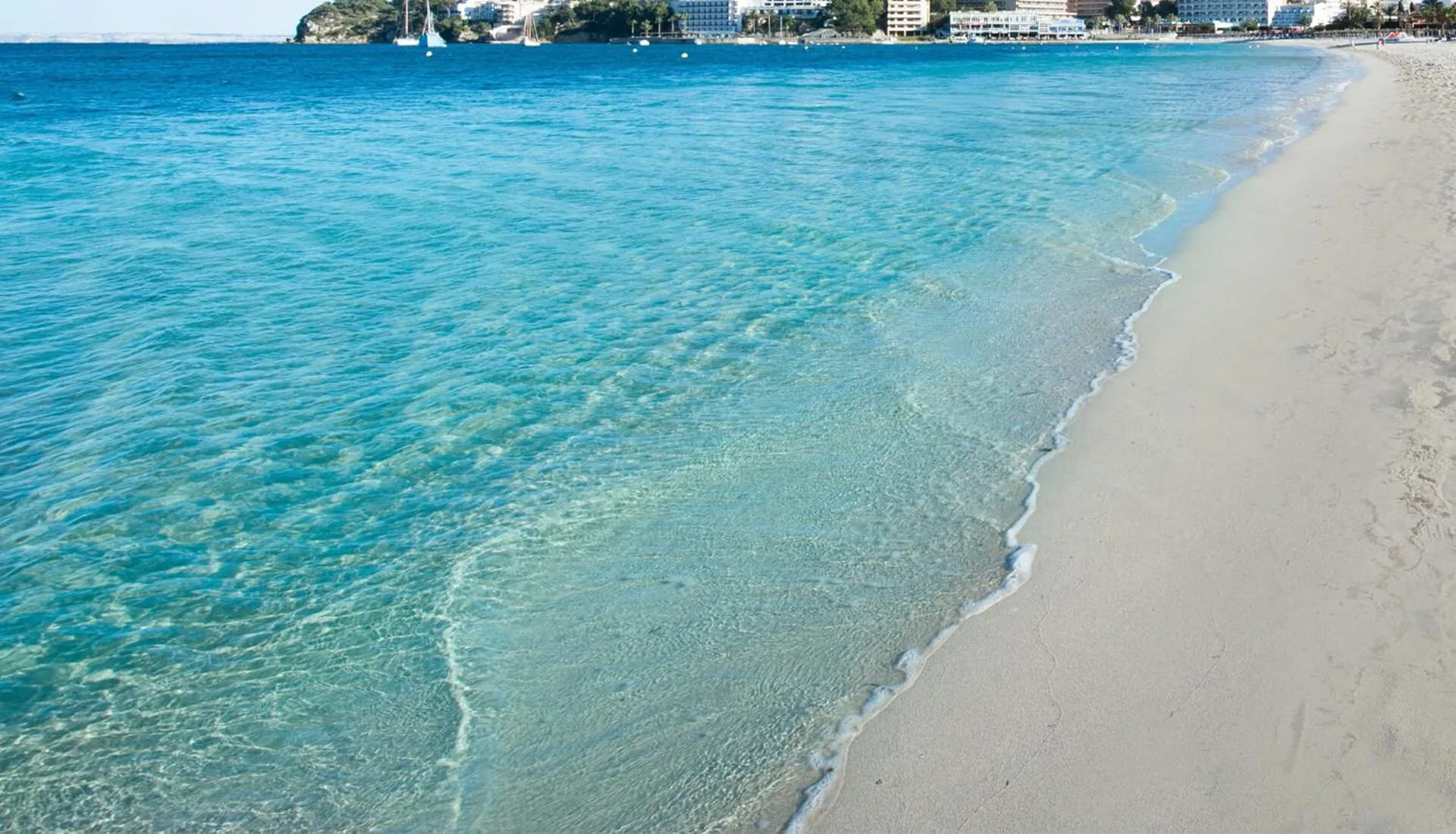 Beach in Roc Portonova Apartaments