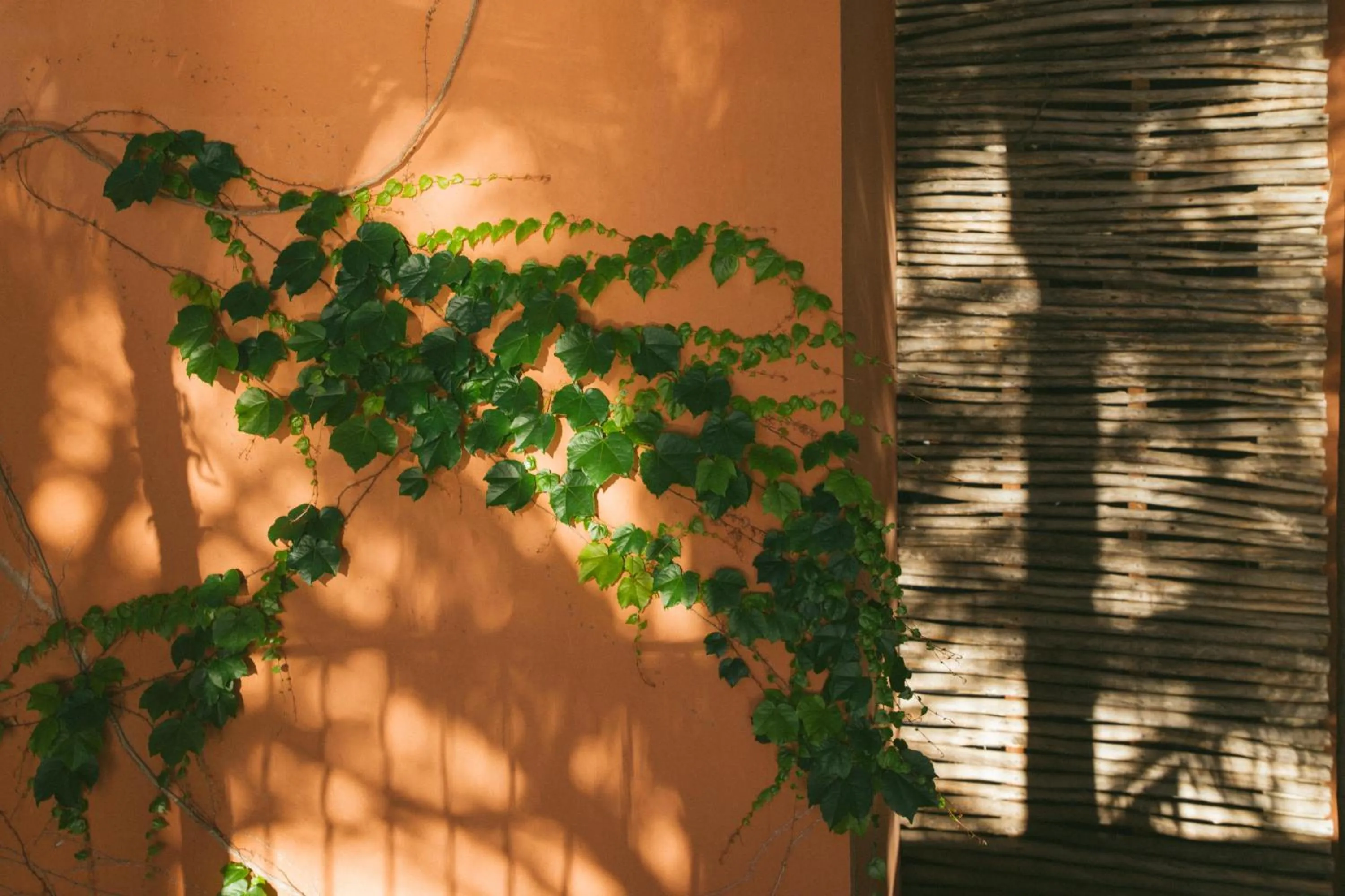 Natural landscape in Salobre Hotel Resort & Serenity