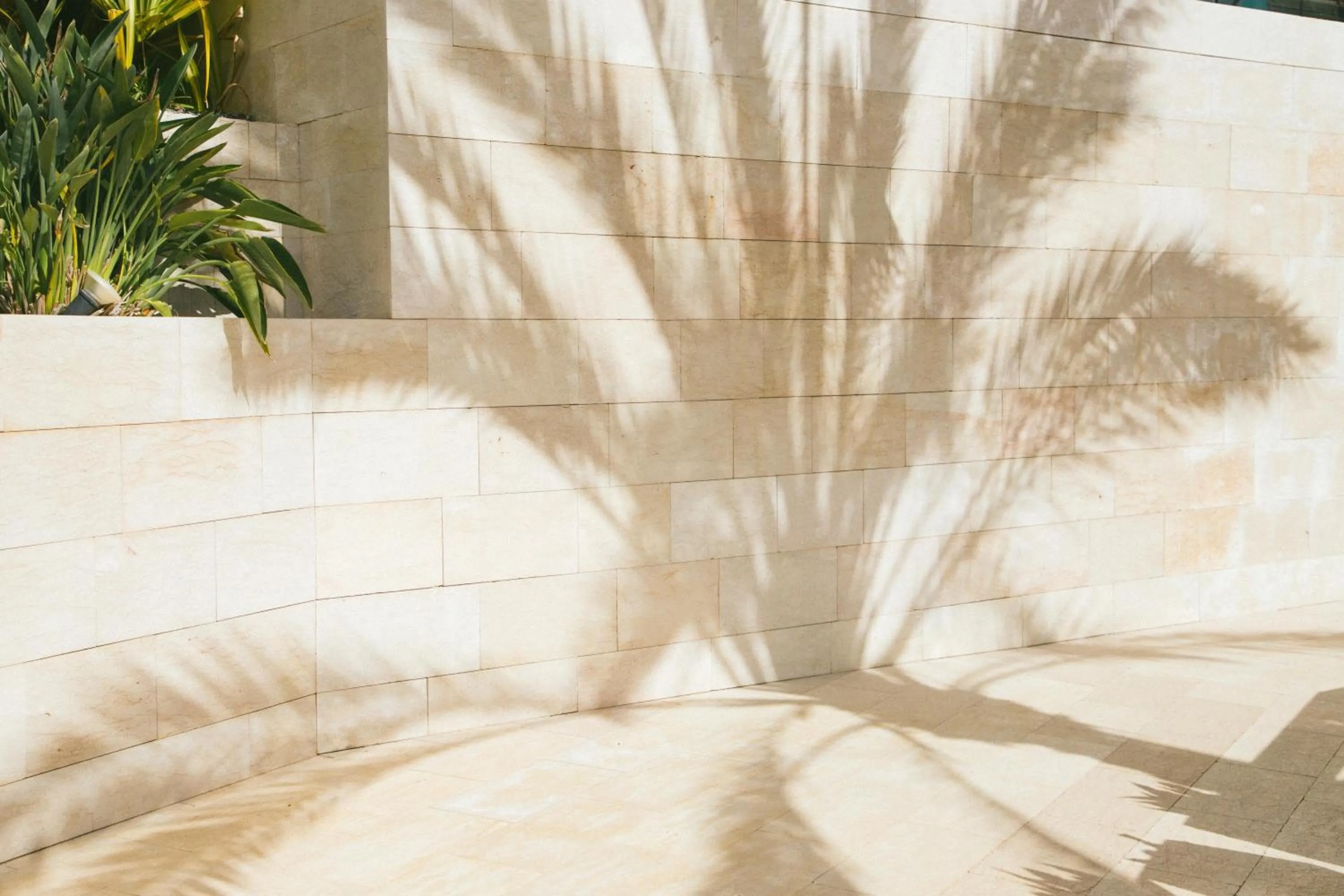 Lobby or reception in Salobre Hotel Resort & Serenity