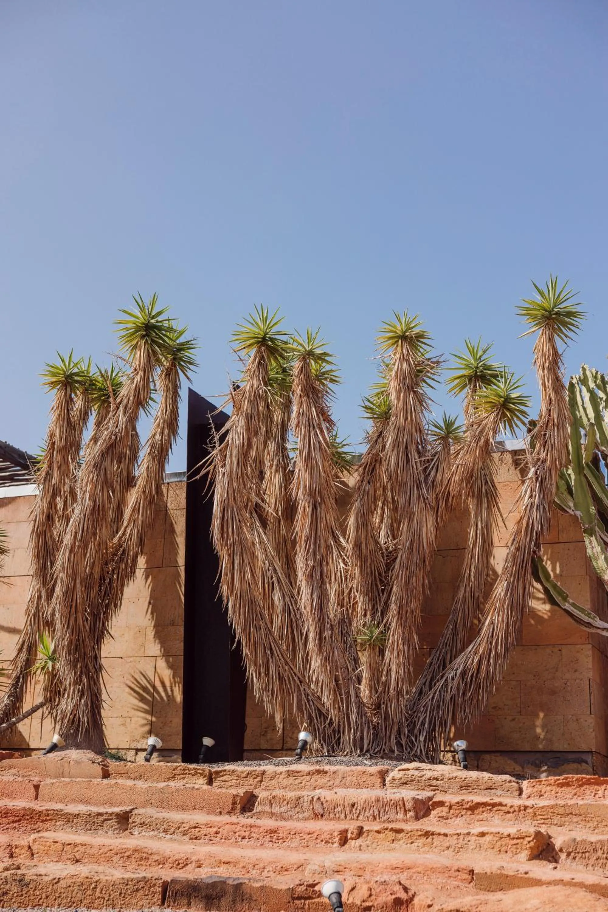 Natural landscape in Salobre Hotel Resort & Serenity