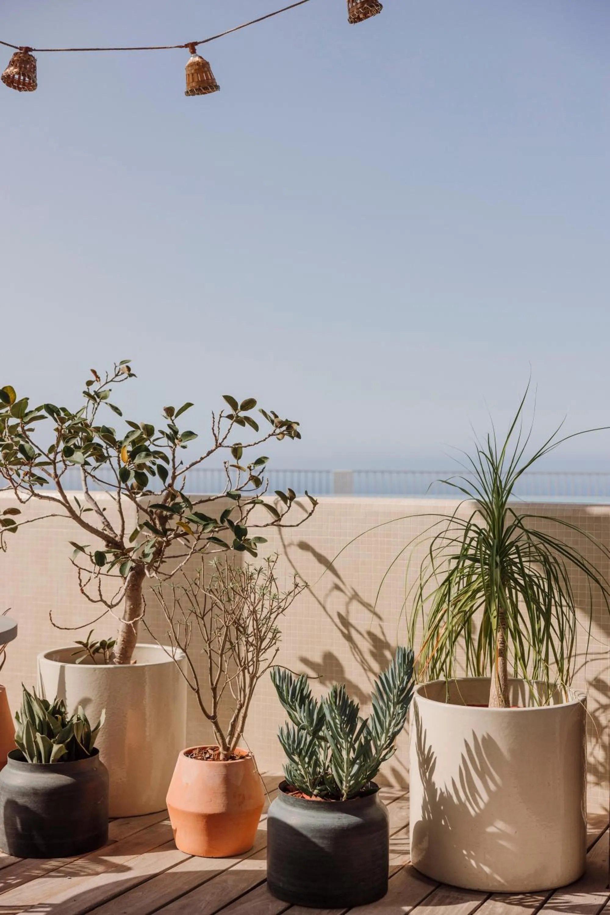 Natural landscape in Salobre Hotel Resort & Serenity