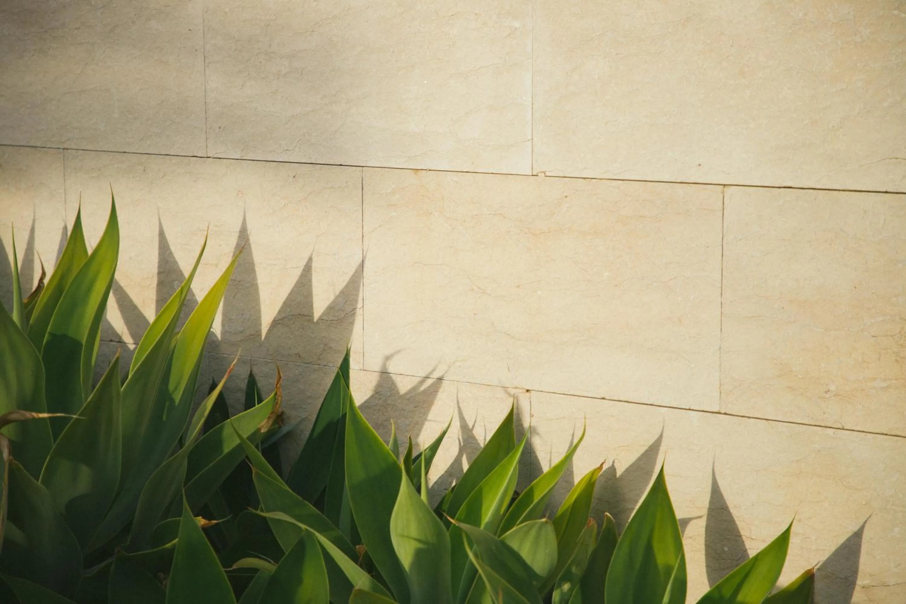 Garden in Salobre Hotel Resort & Serenity