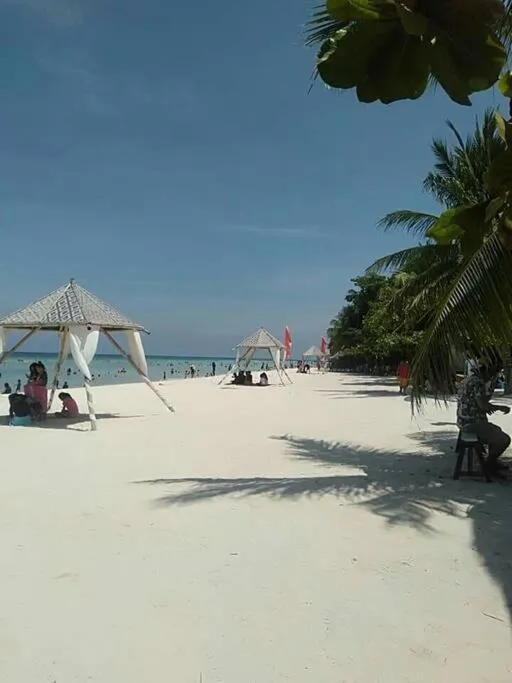 Beach in Bohol Sweet Home