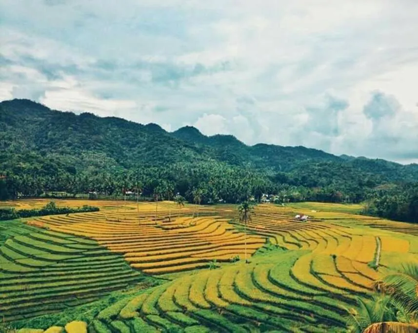 Natural landscape in Bohol Sweet Home