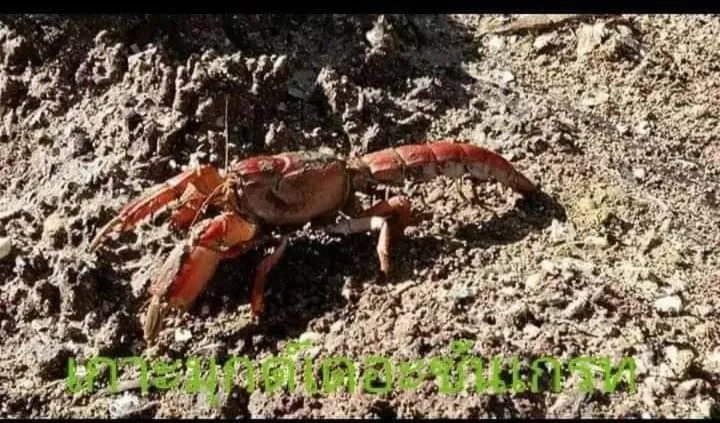 KOHMOOK THE SUN GREAT RESORT