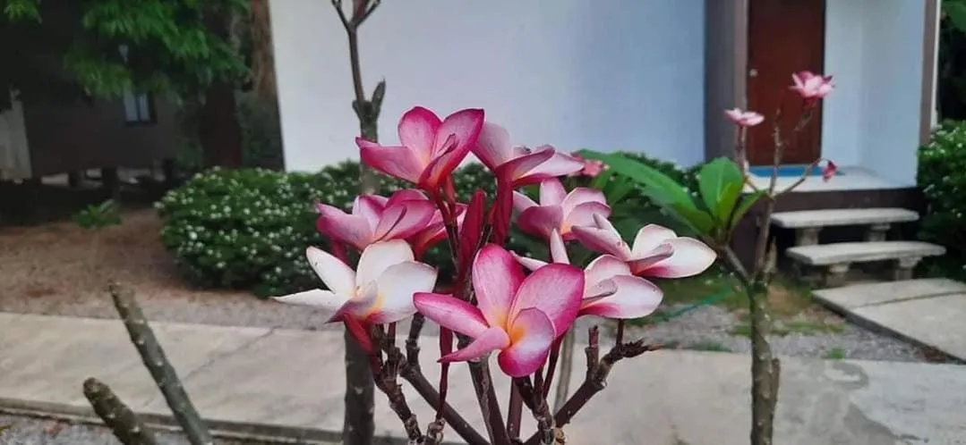 KOHMOOK THE SUN GREAT RESORT