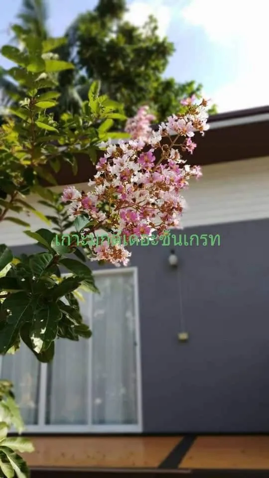 KOHMOOK THE SUN GREAT RESORT