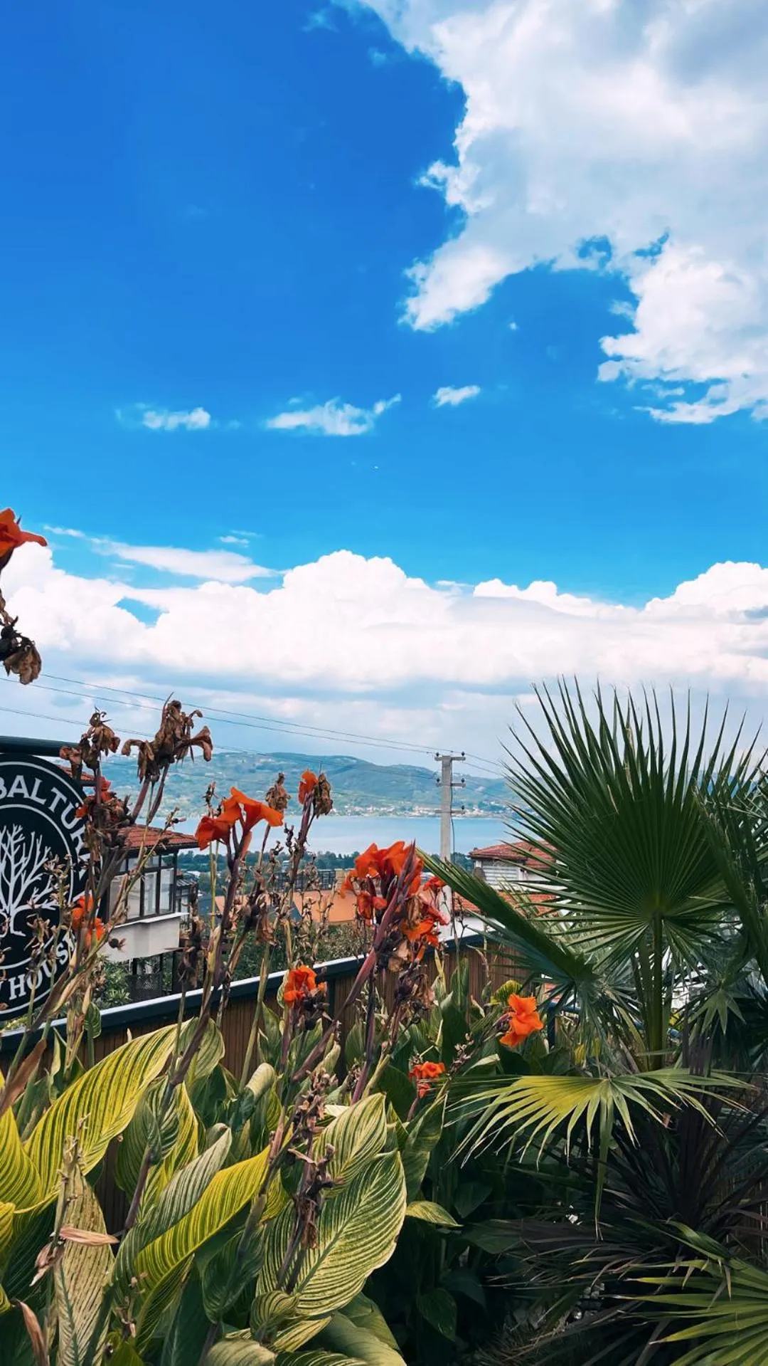 Spring in New Balturk Villas Sapanca