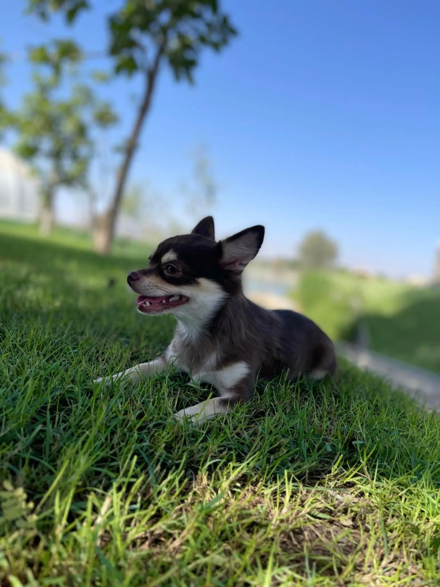 Day in Nirvana Retreat By Patanjali Wellness Initiative